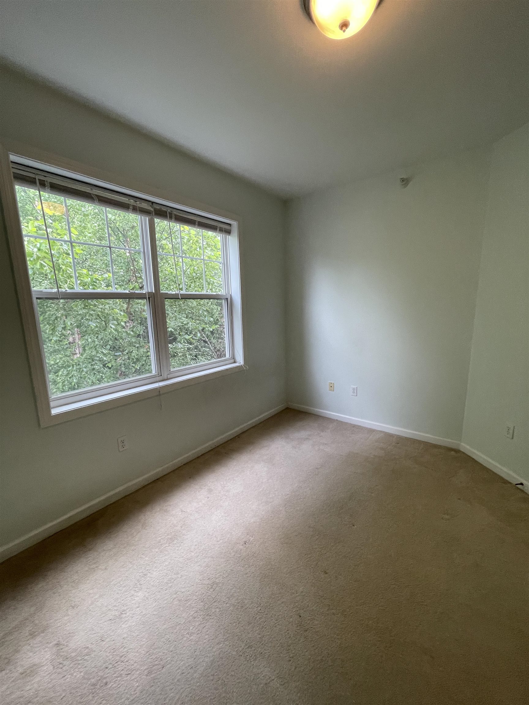 101 Eldredge Street Property Photo 12