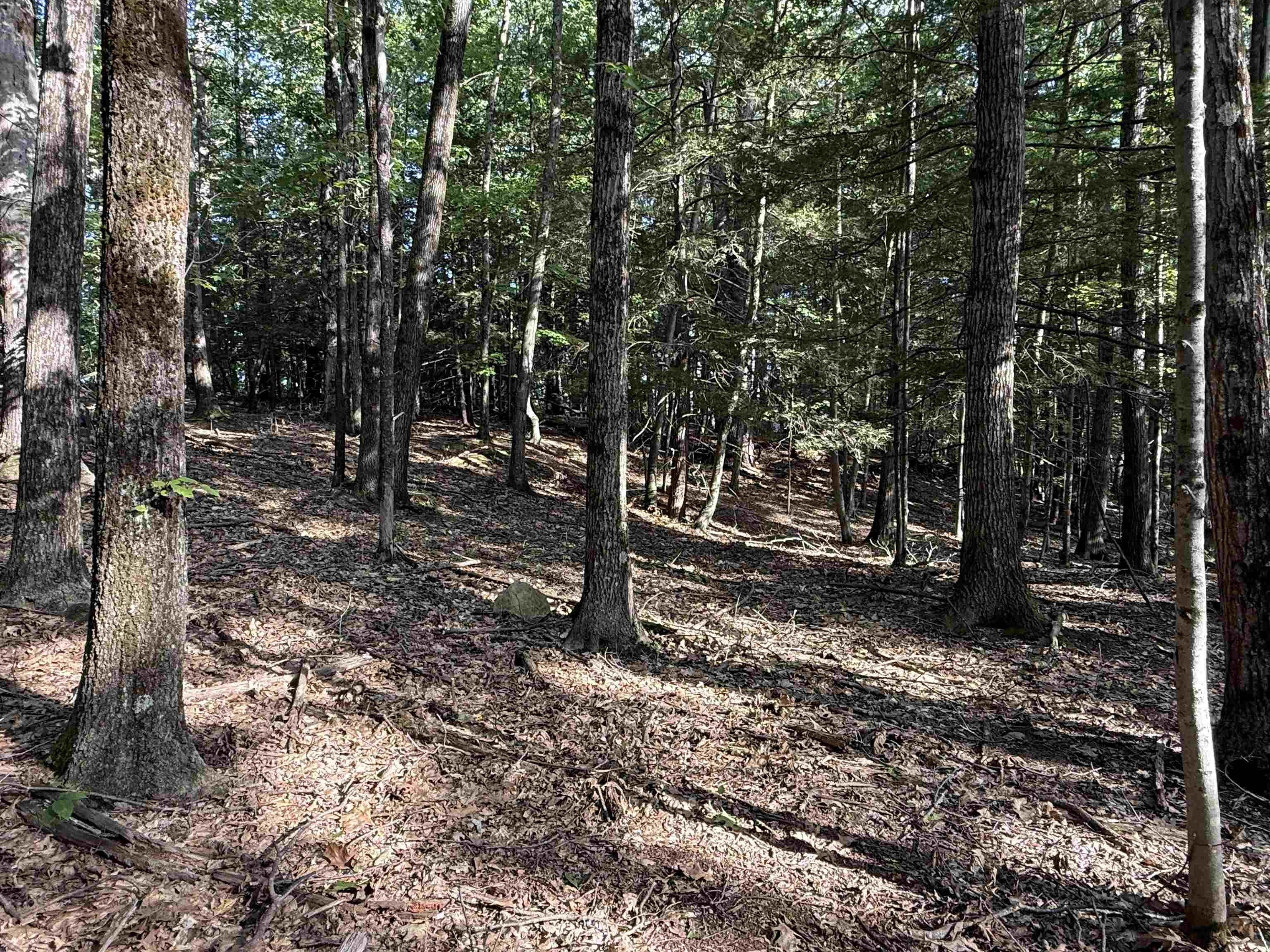 0 Meetinghouse Lane Property Photo 1