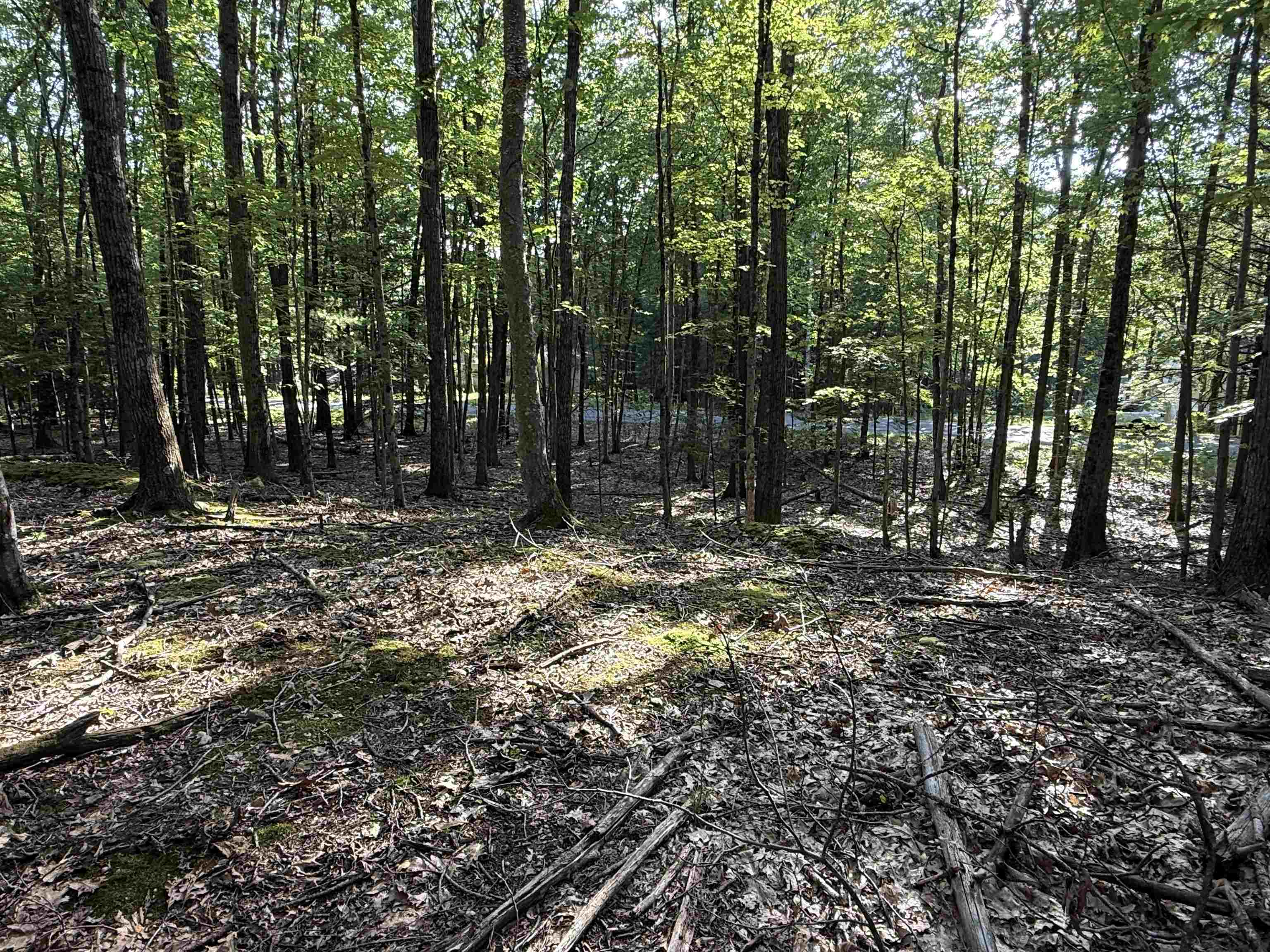 0 Meetinghouse Lane Property Photo 3
