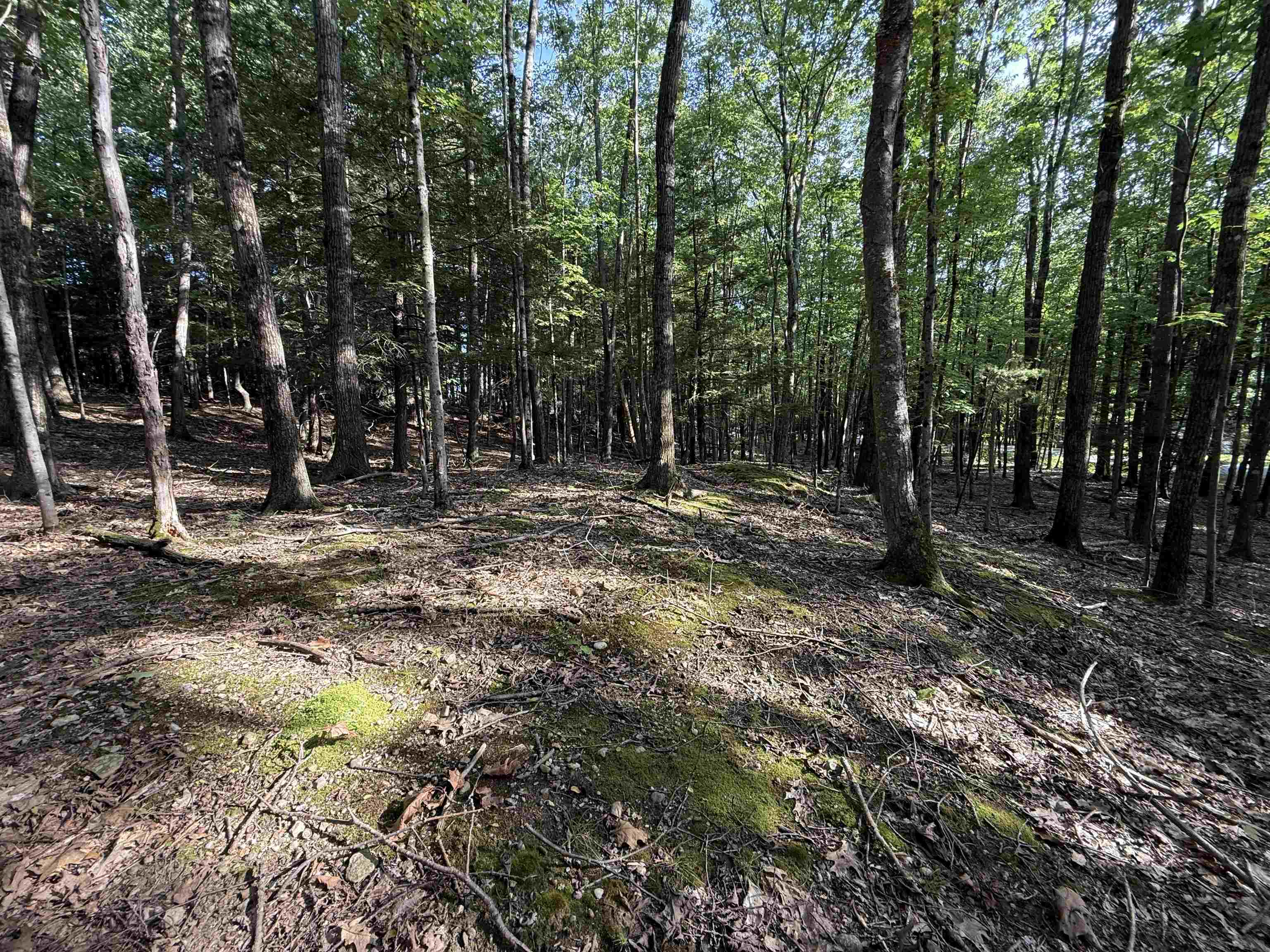 0 Meetinghouse Lane Property Photo 4