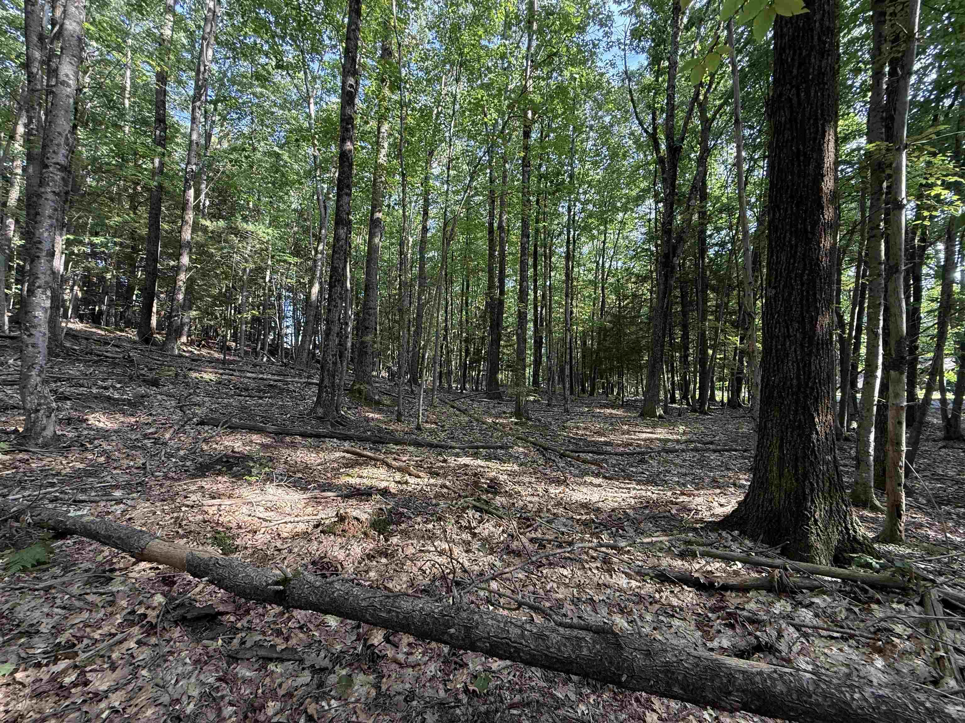 0 Meetinghouse Lane Property Photo 5