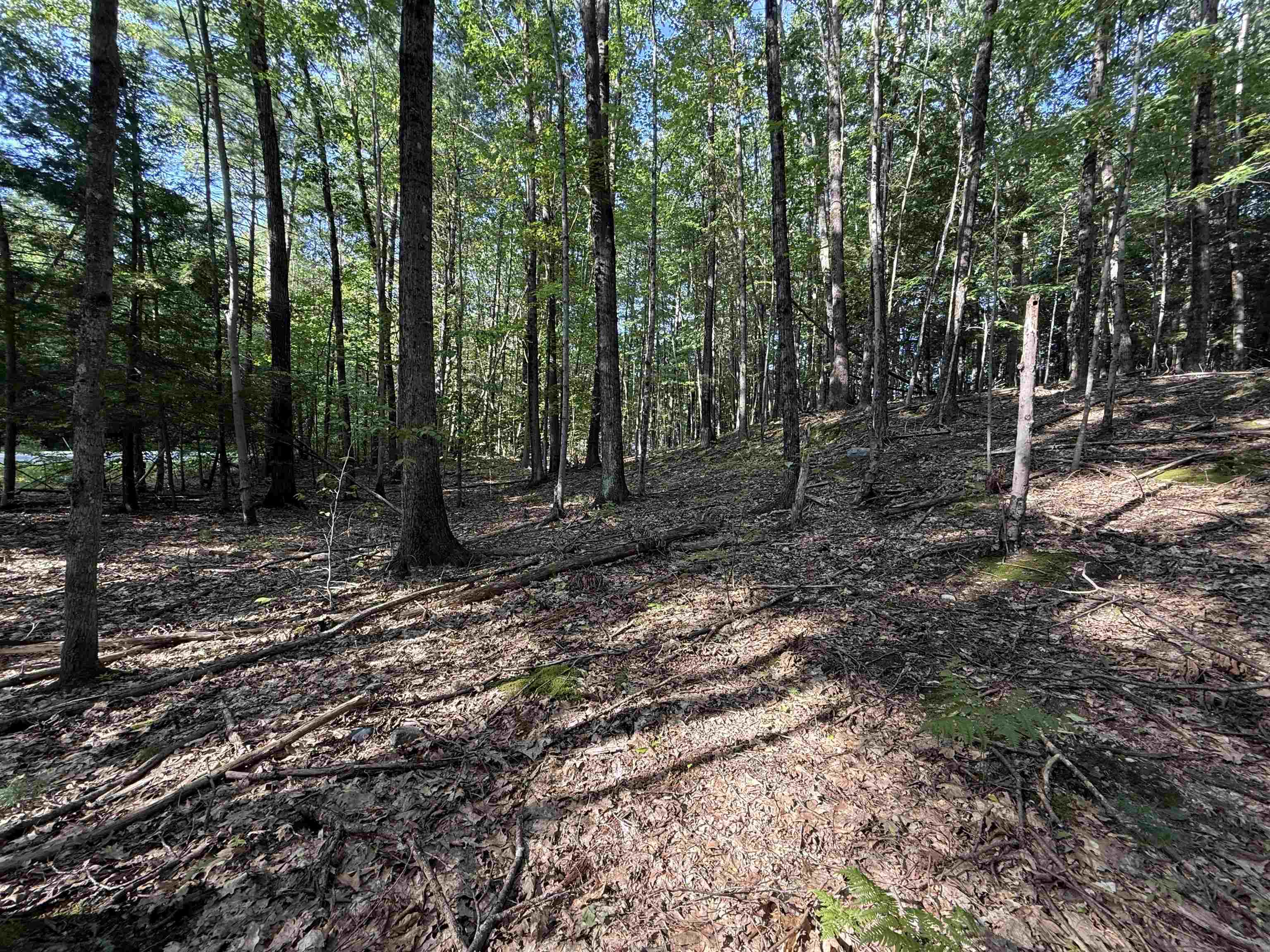 0 Meetinghouse Lane Property Photo 6