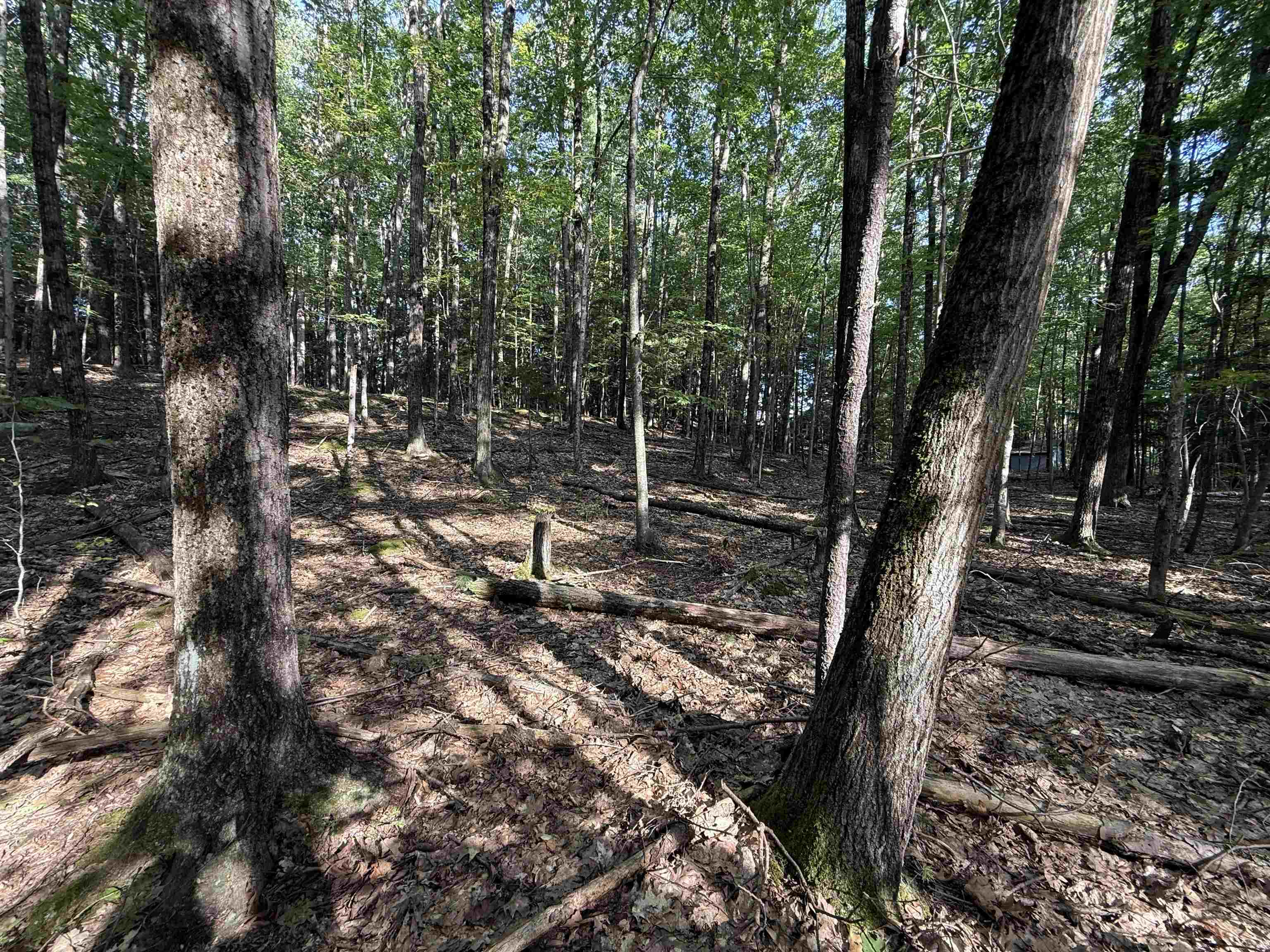 0 Meetinghouse Lane Property Photo 7