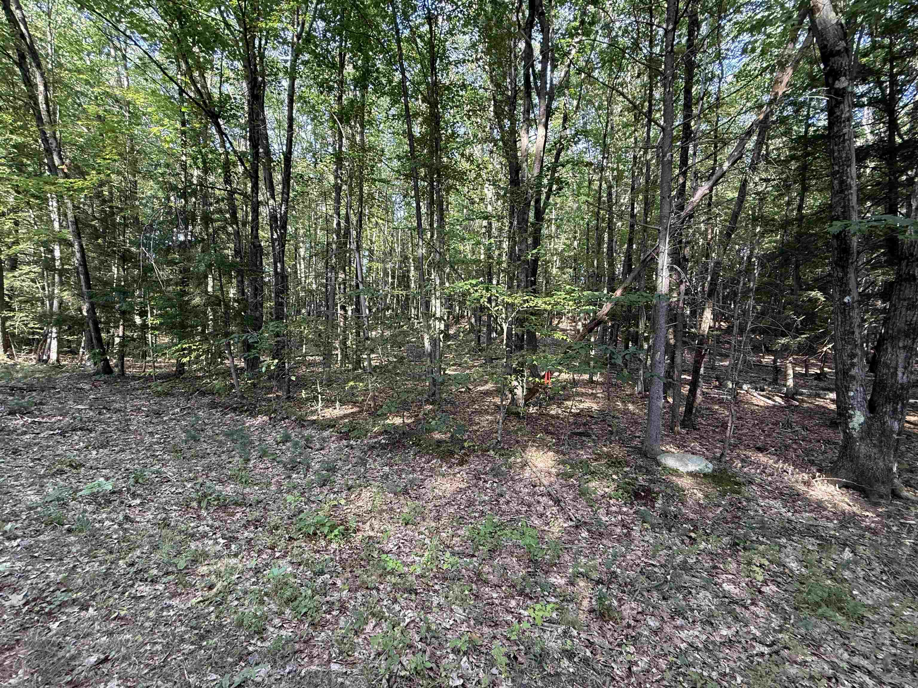 0 Meetinghouse Lane Property Photo 10