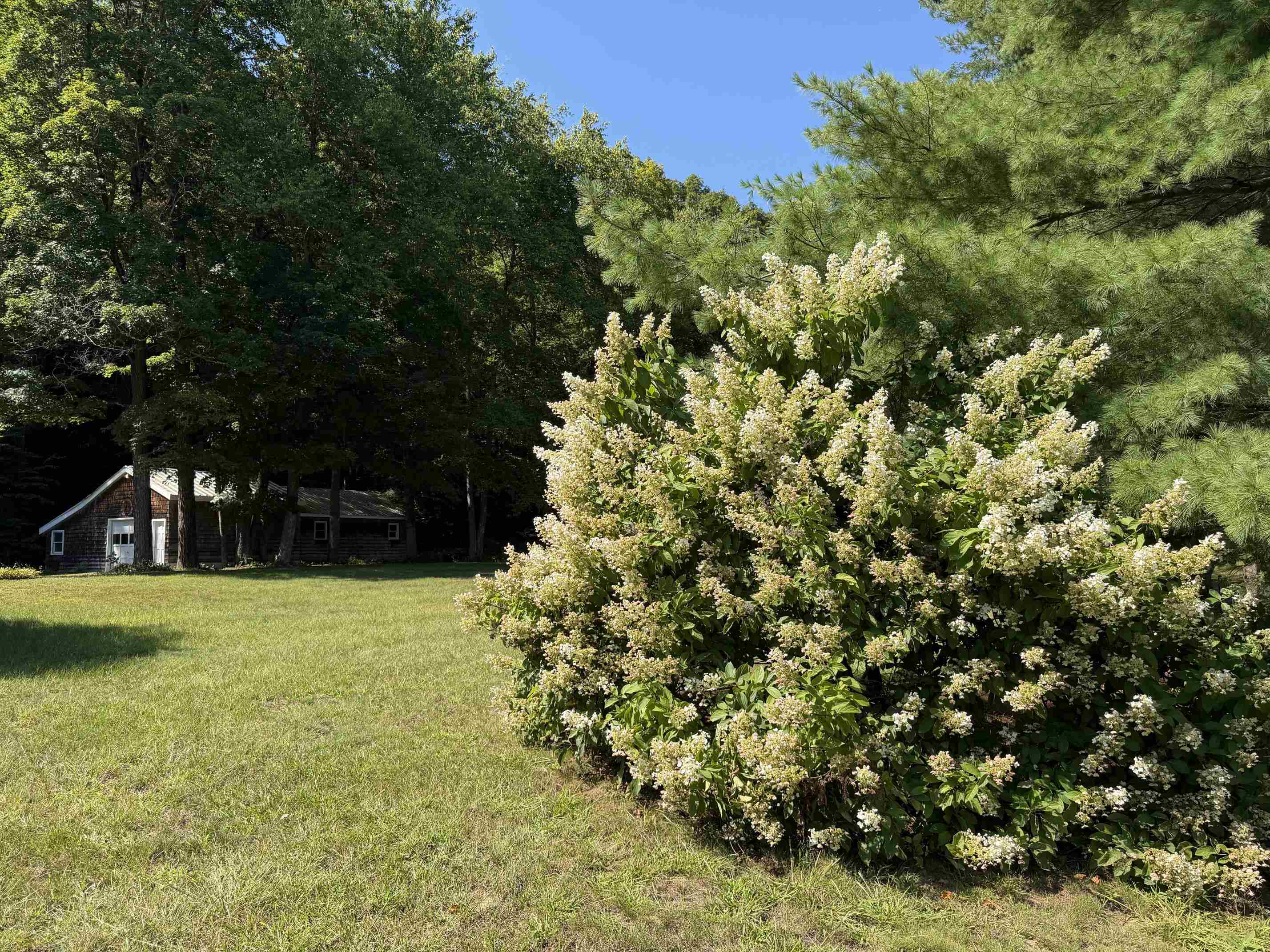 137 Newton Hills Road Property Photo 36