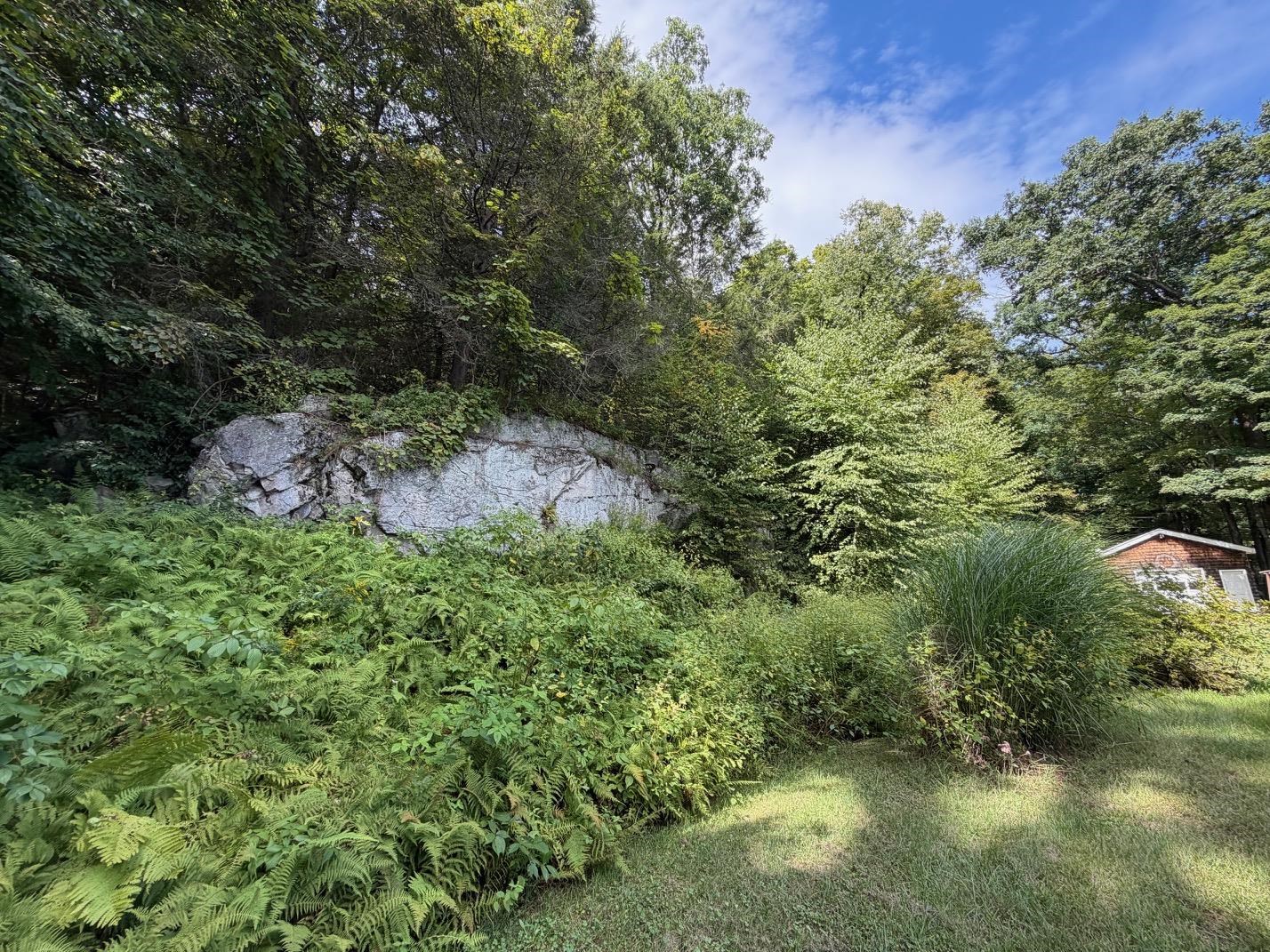 137 Newton Hills Road Property Photo 39