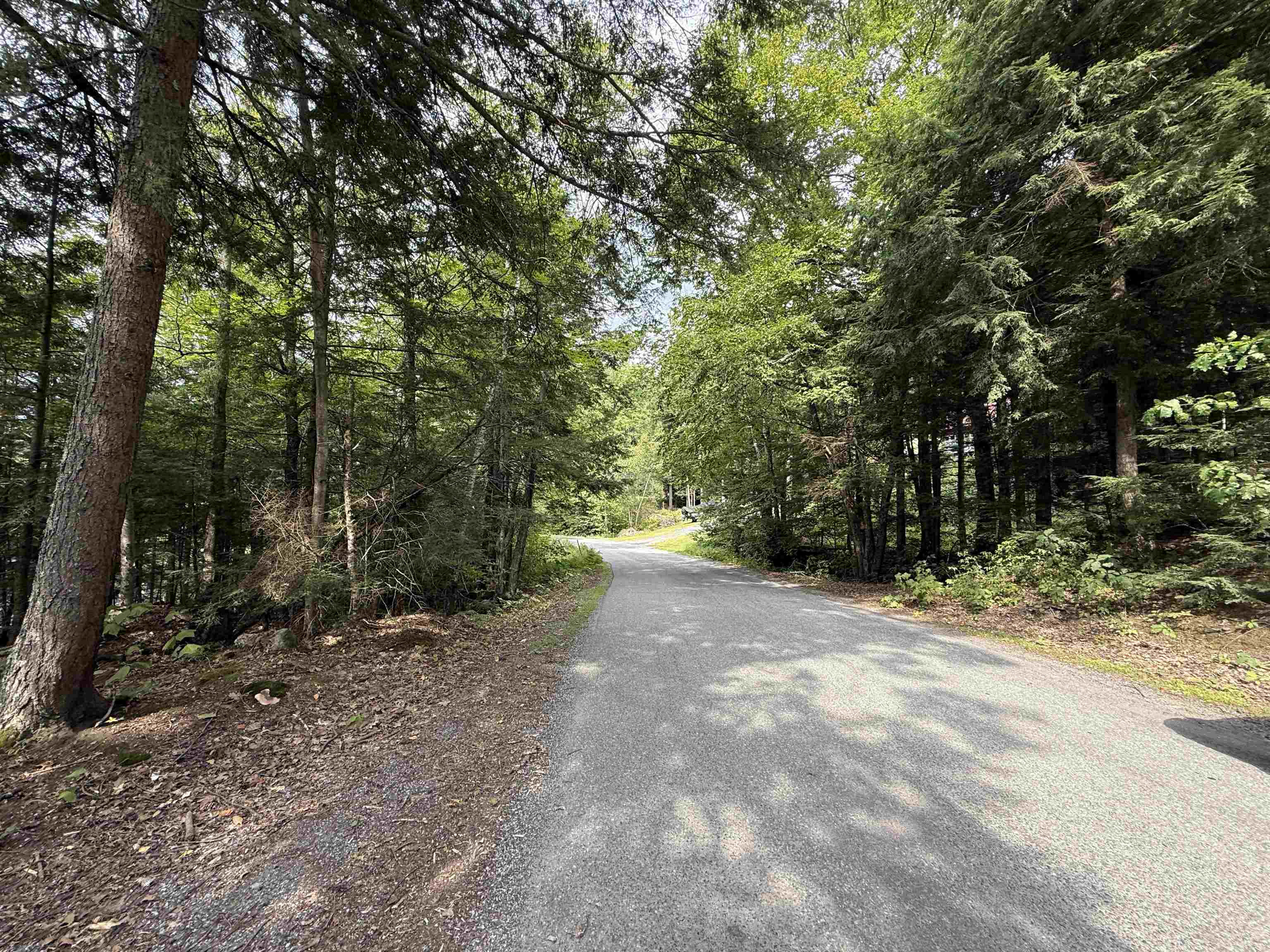 666 Goose Pond Road Property Photo 10