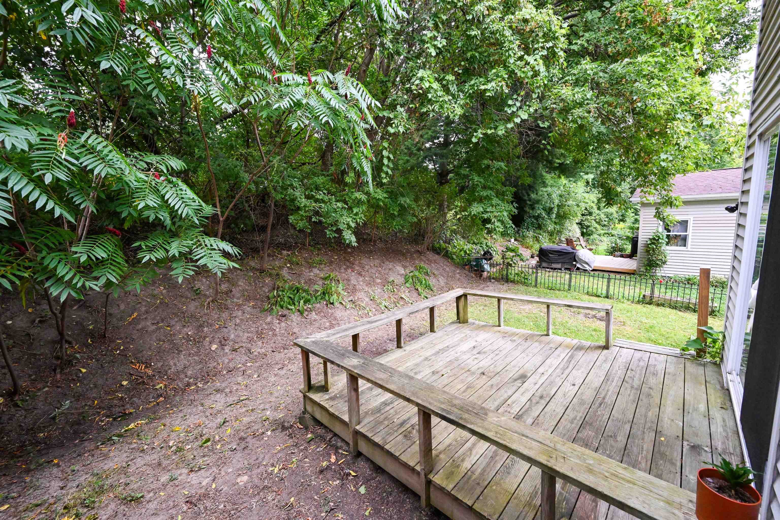 41 Forest Street Property Photo 3