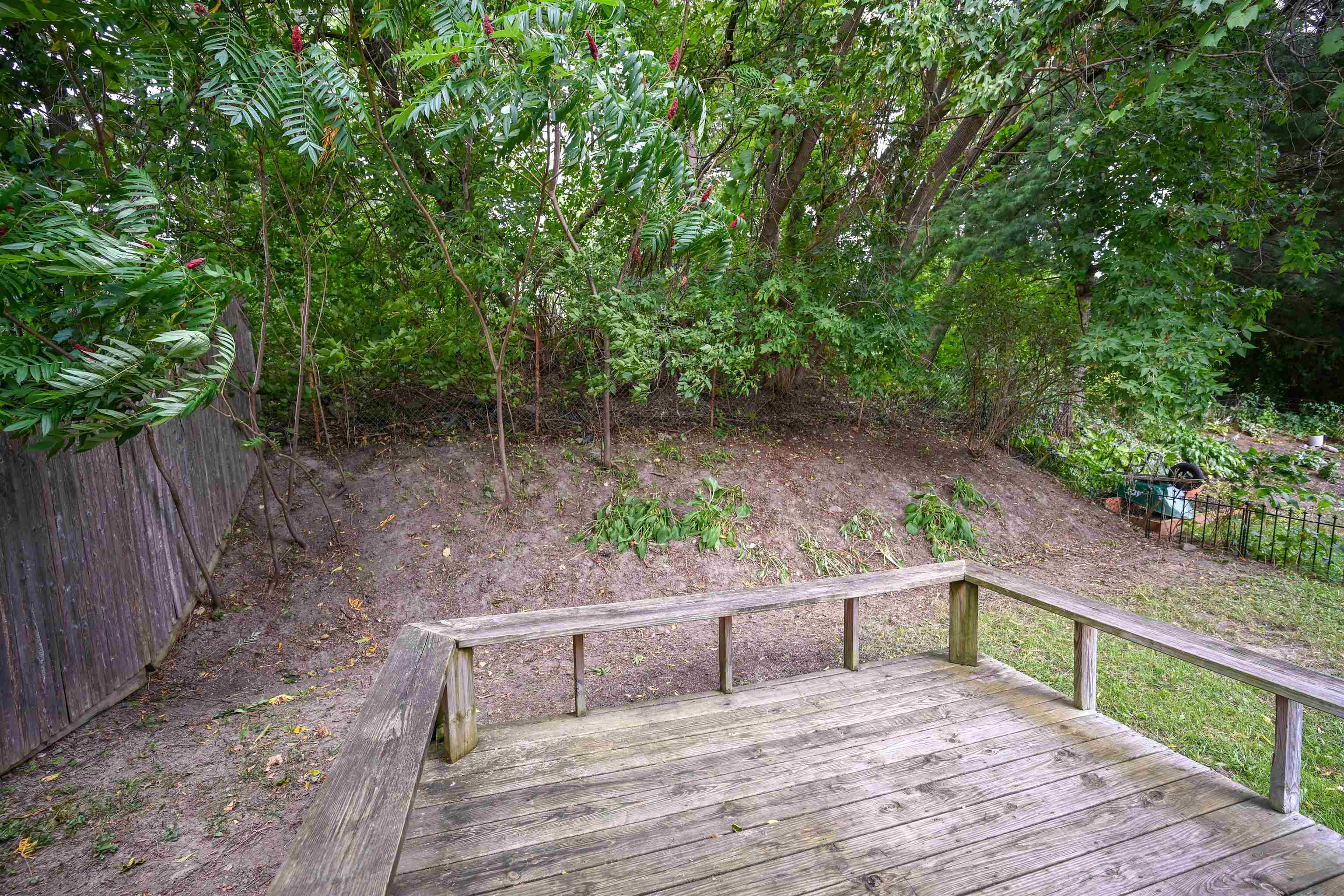 41 Forest Street Property Photo 13