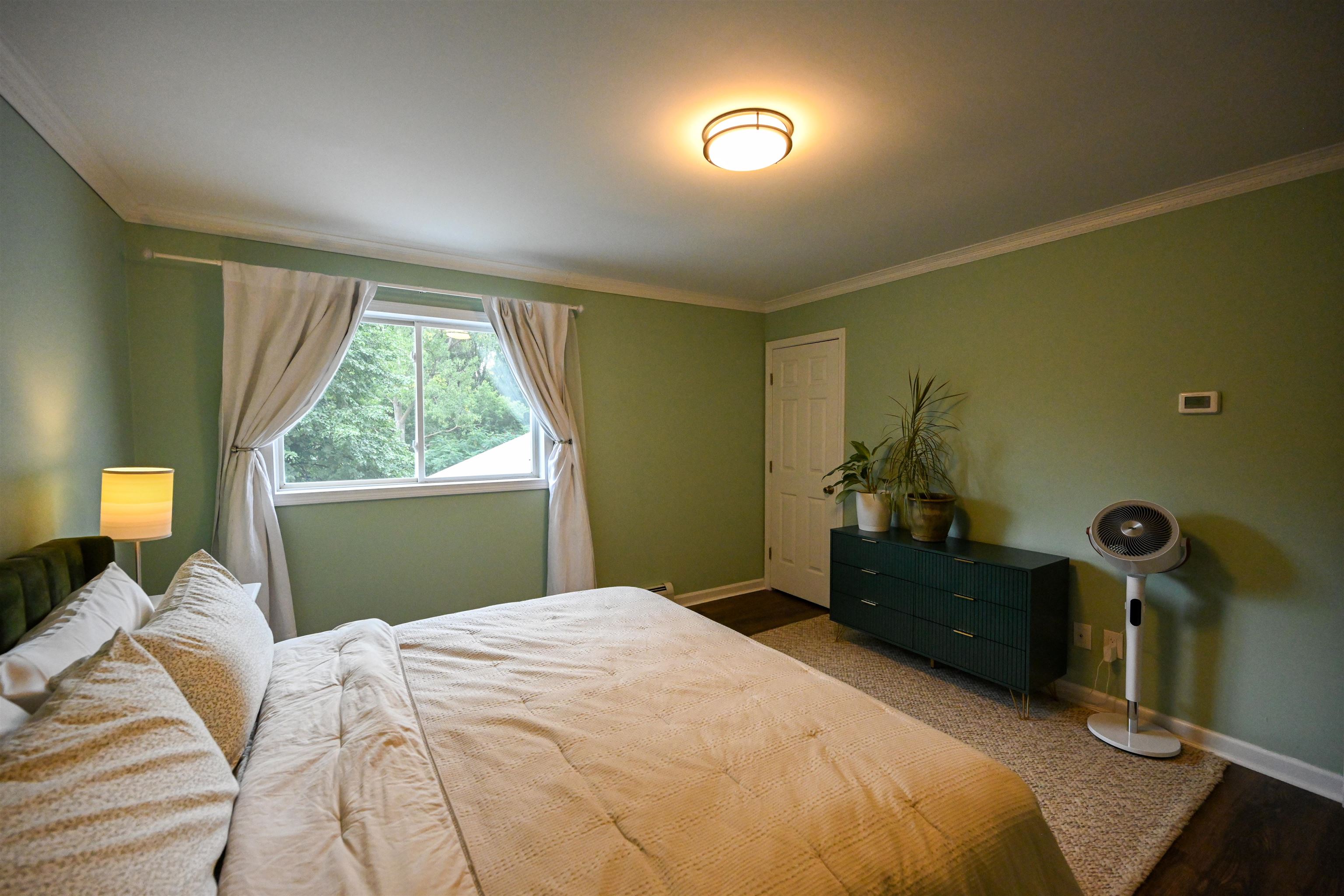 41 Forest Street Property Photo 29