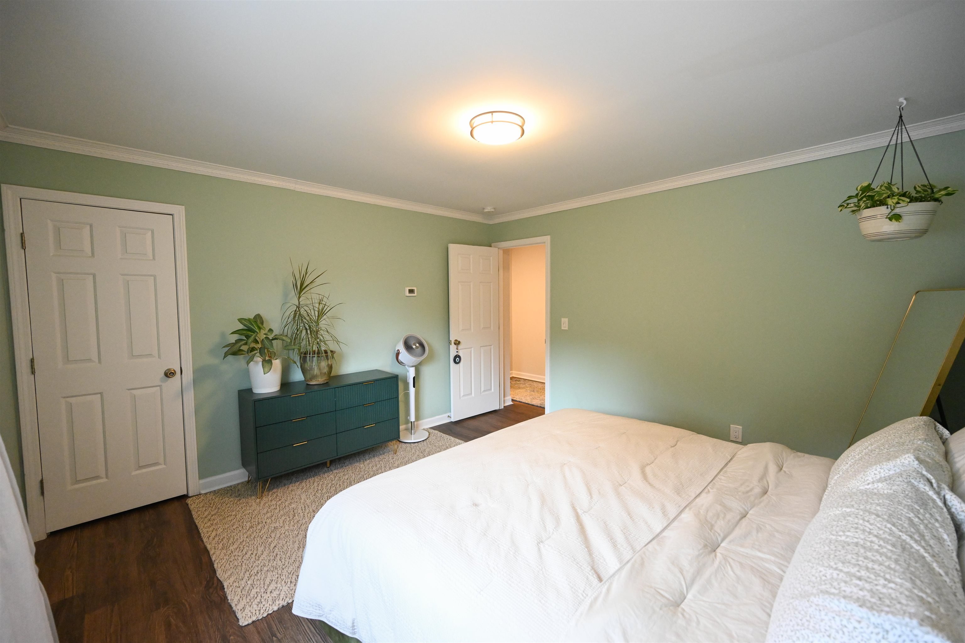 41 Forest Street Property Photo 30