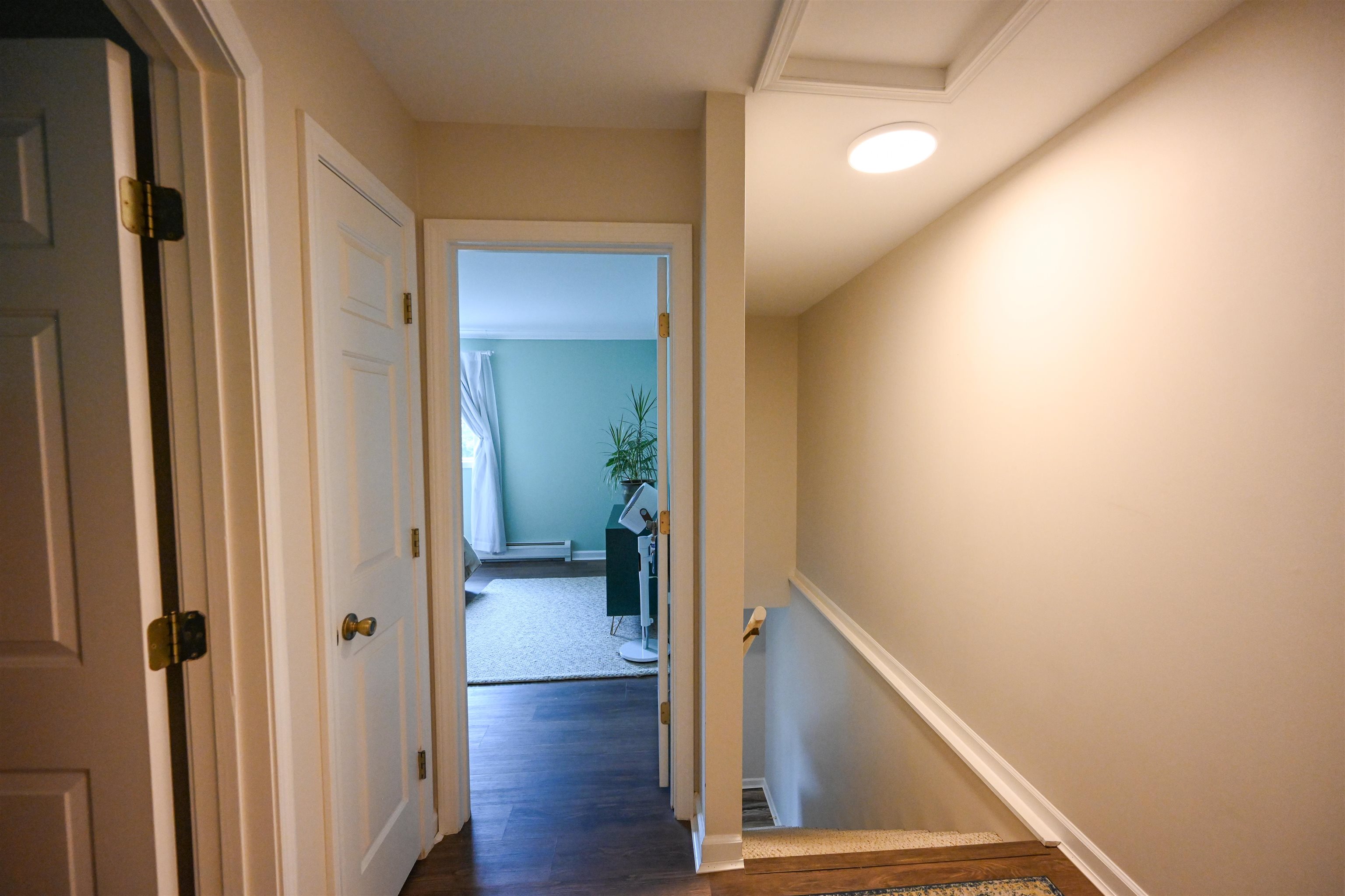41 Forest Street Property Photo 33