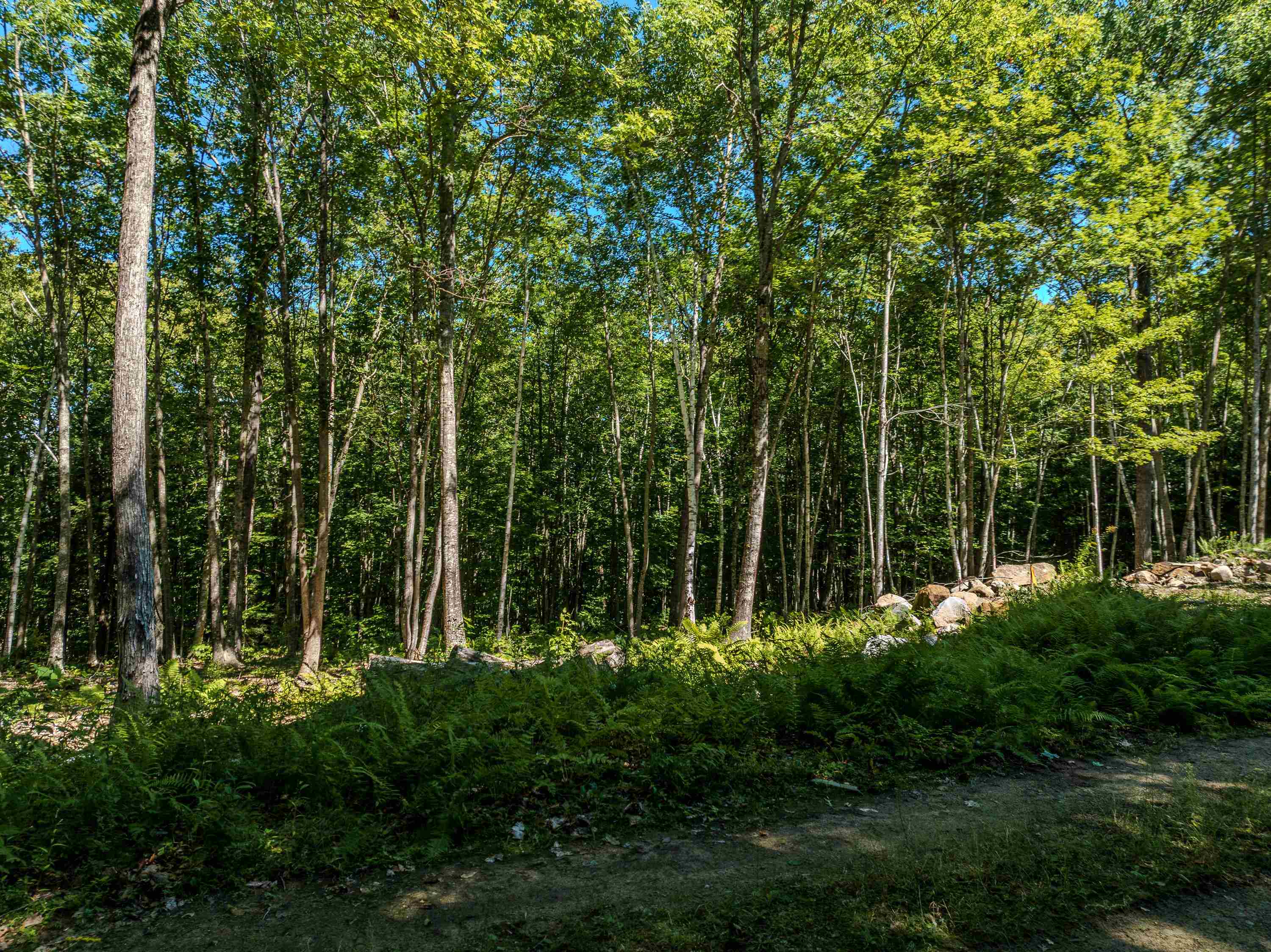 Lot 9 Ridge Road Property Photo 9