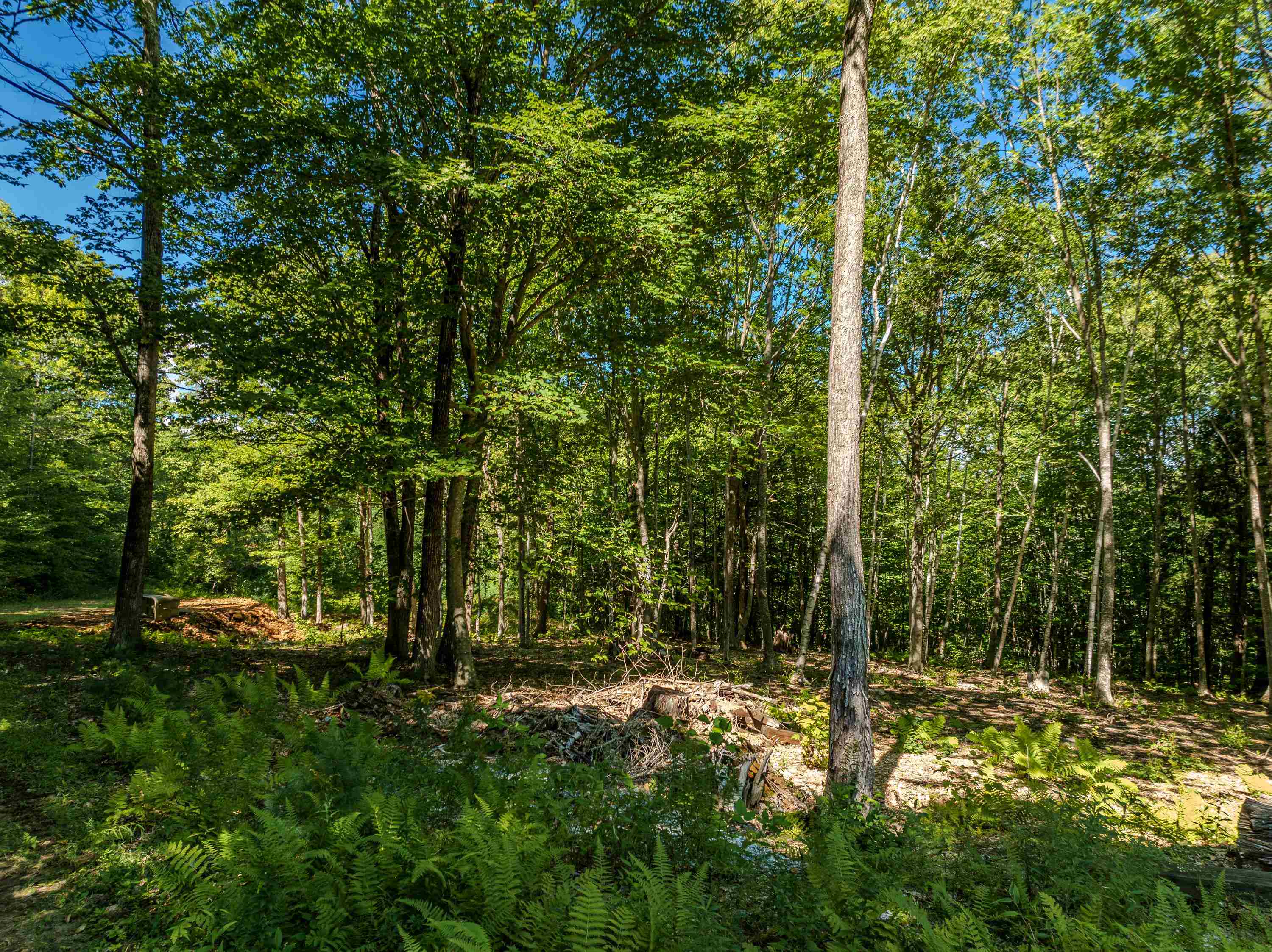 Lot 18 Ridge Road Property Photo 8