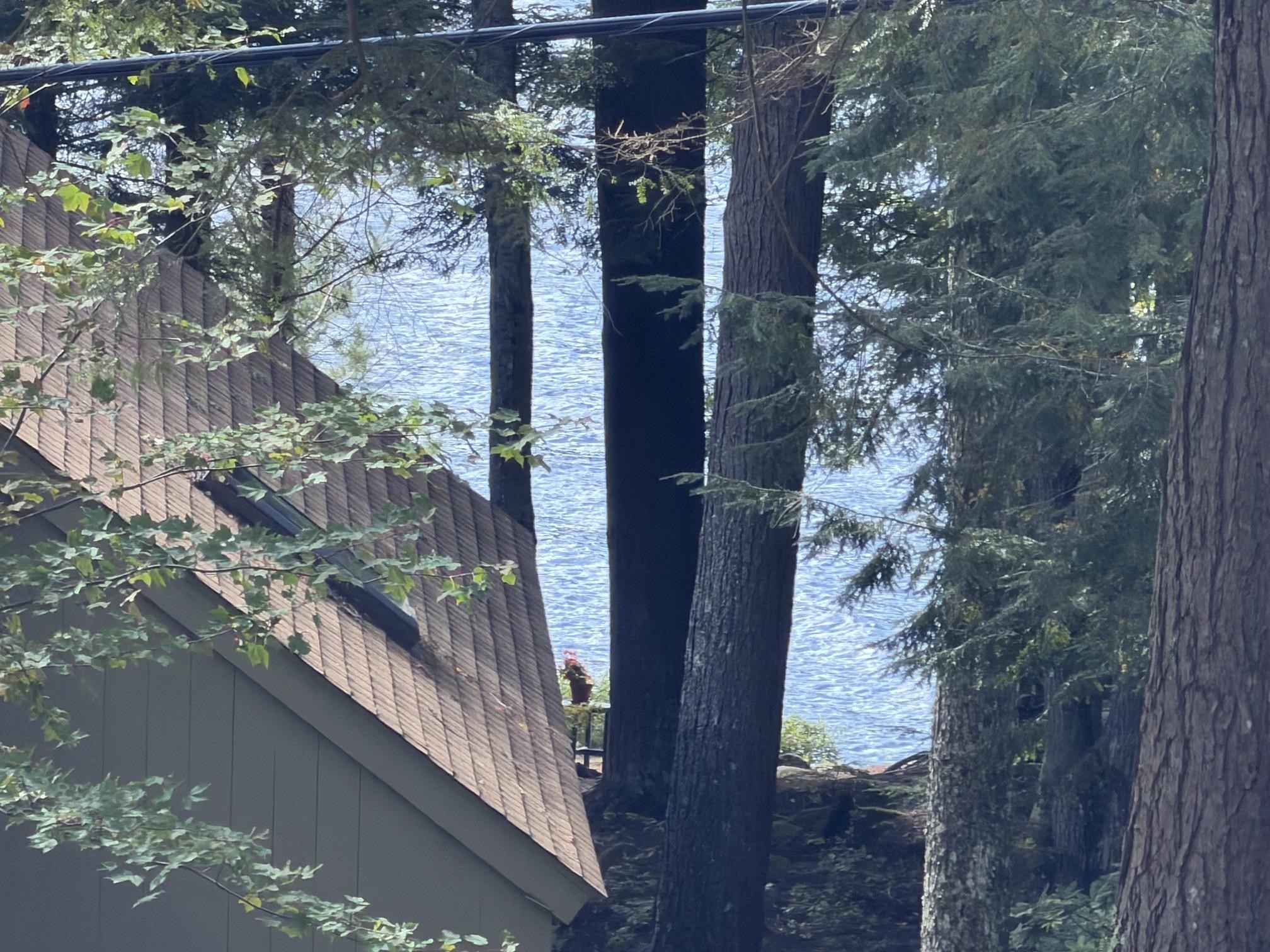 66 Pintail Knob Property Photo 2
