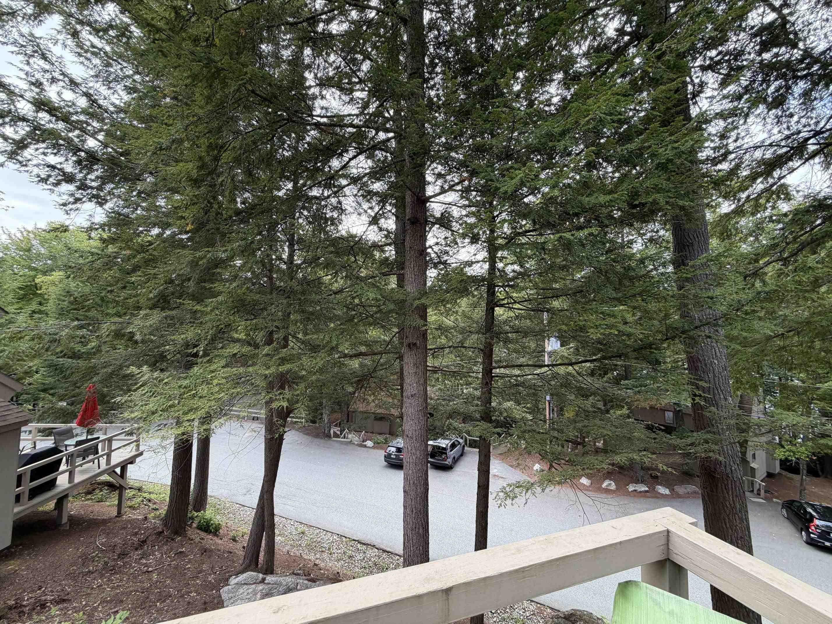 66 Pintail Knob Property Photo 15