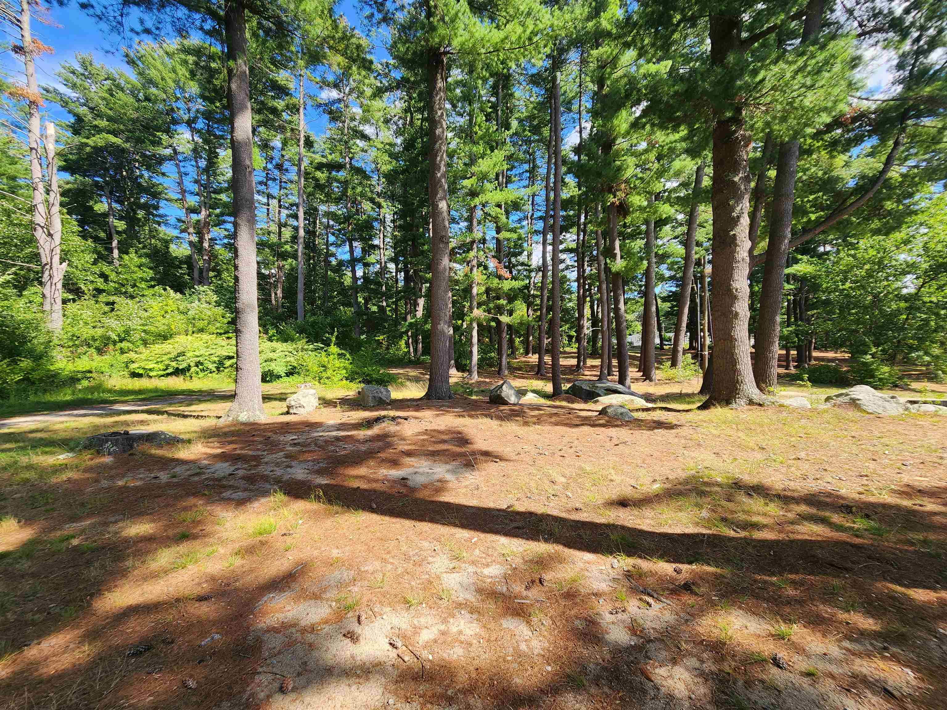 7 Hollyhock Way Property Photo 27
