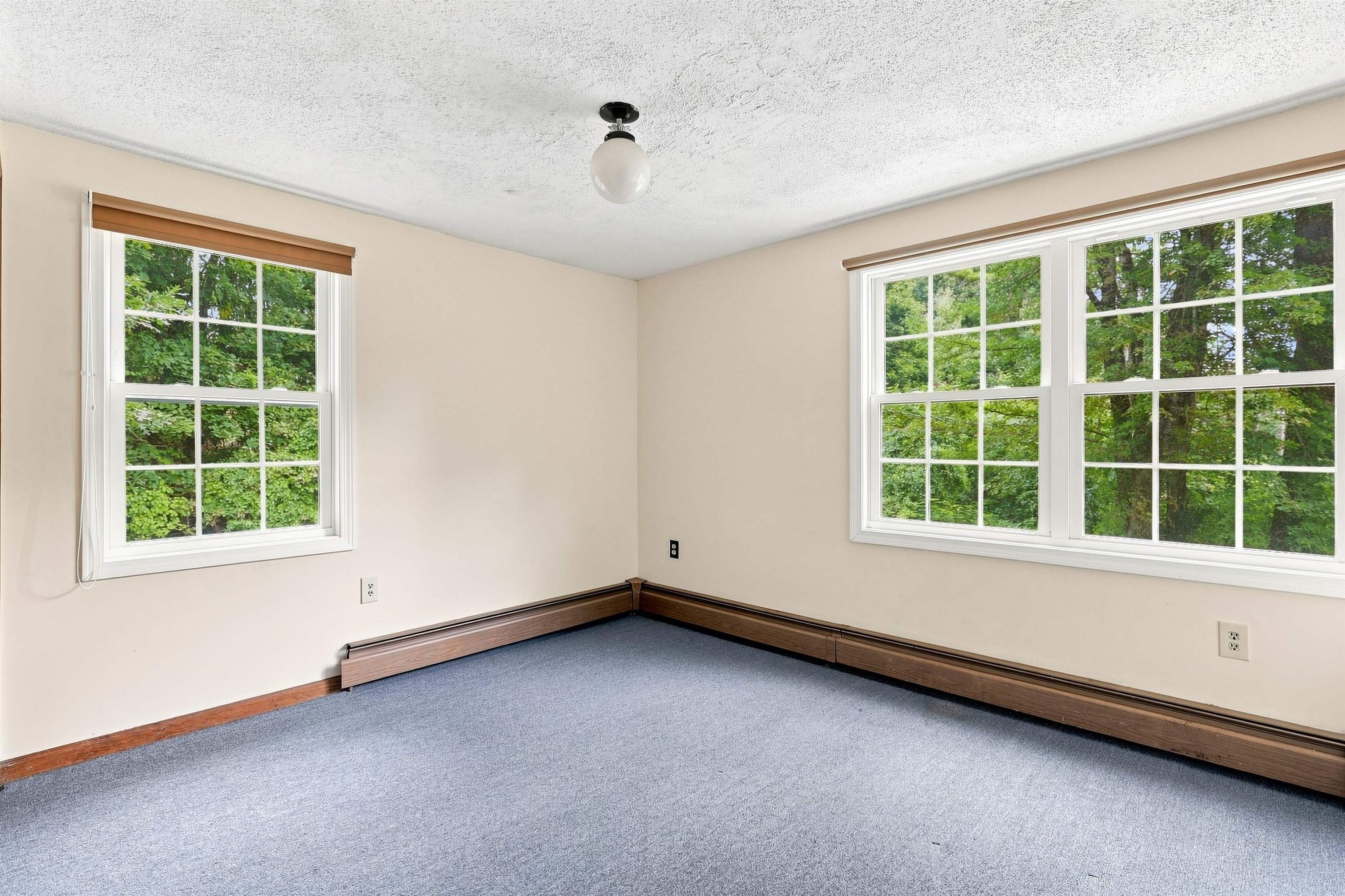 9 Windham Road Property Photo 19