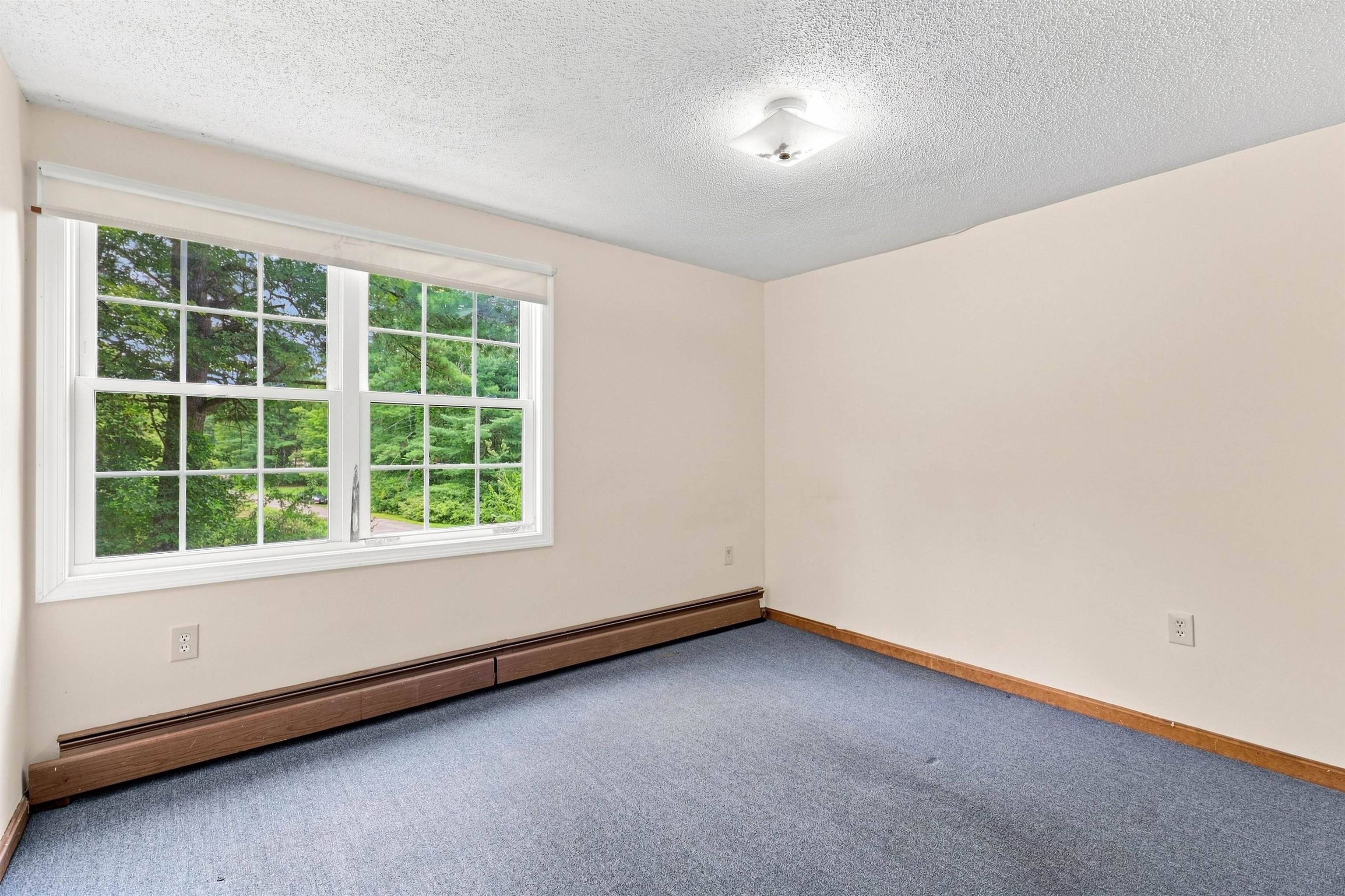 9 Windham Road Property Photo 20