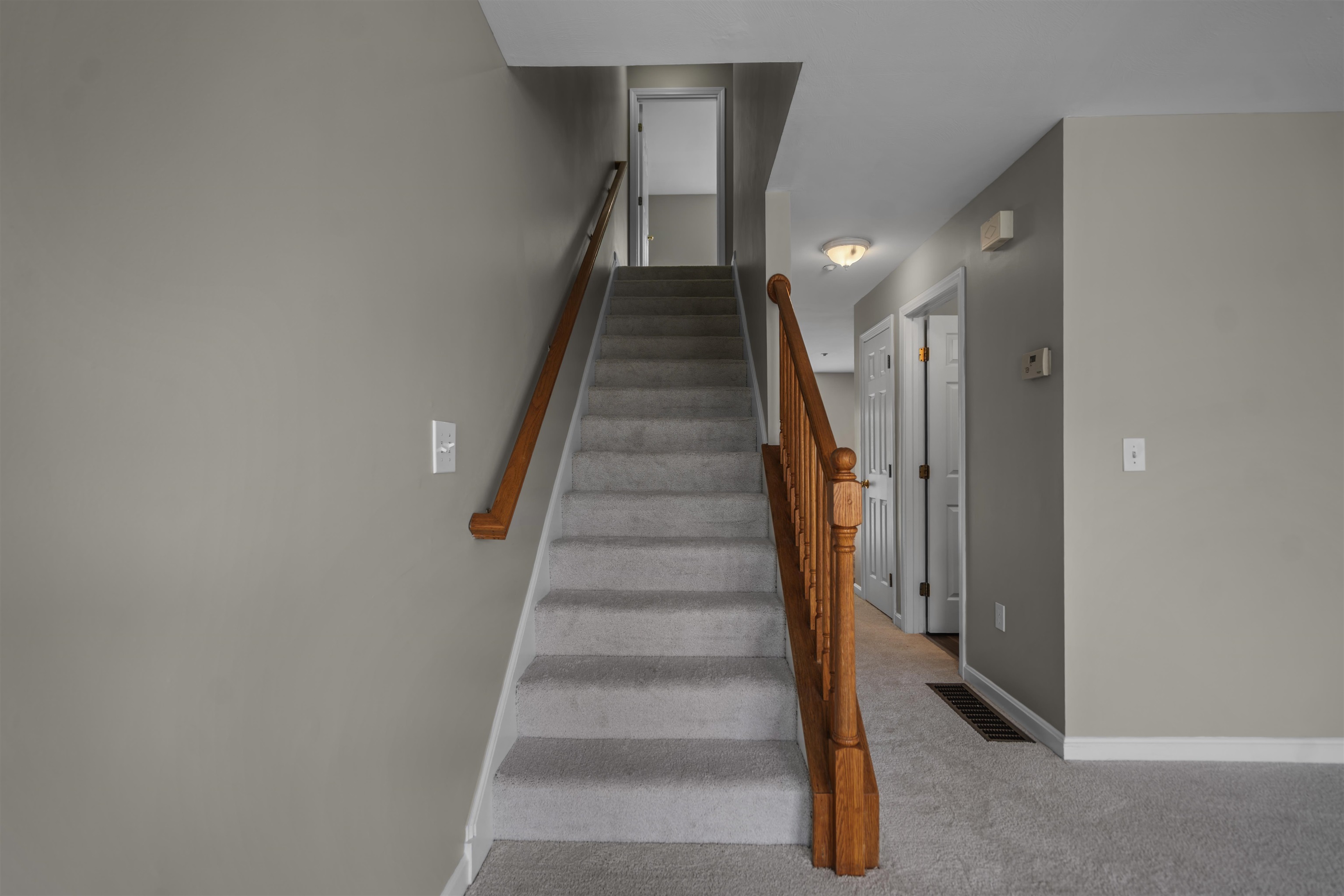 9 Tammy Court Property Photo 14