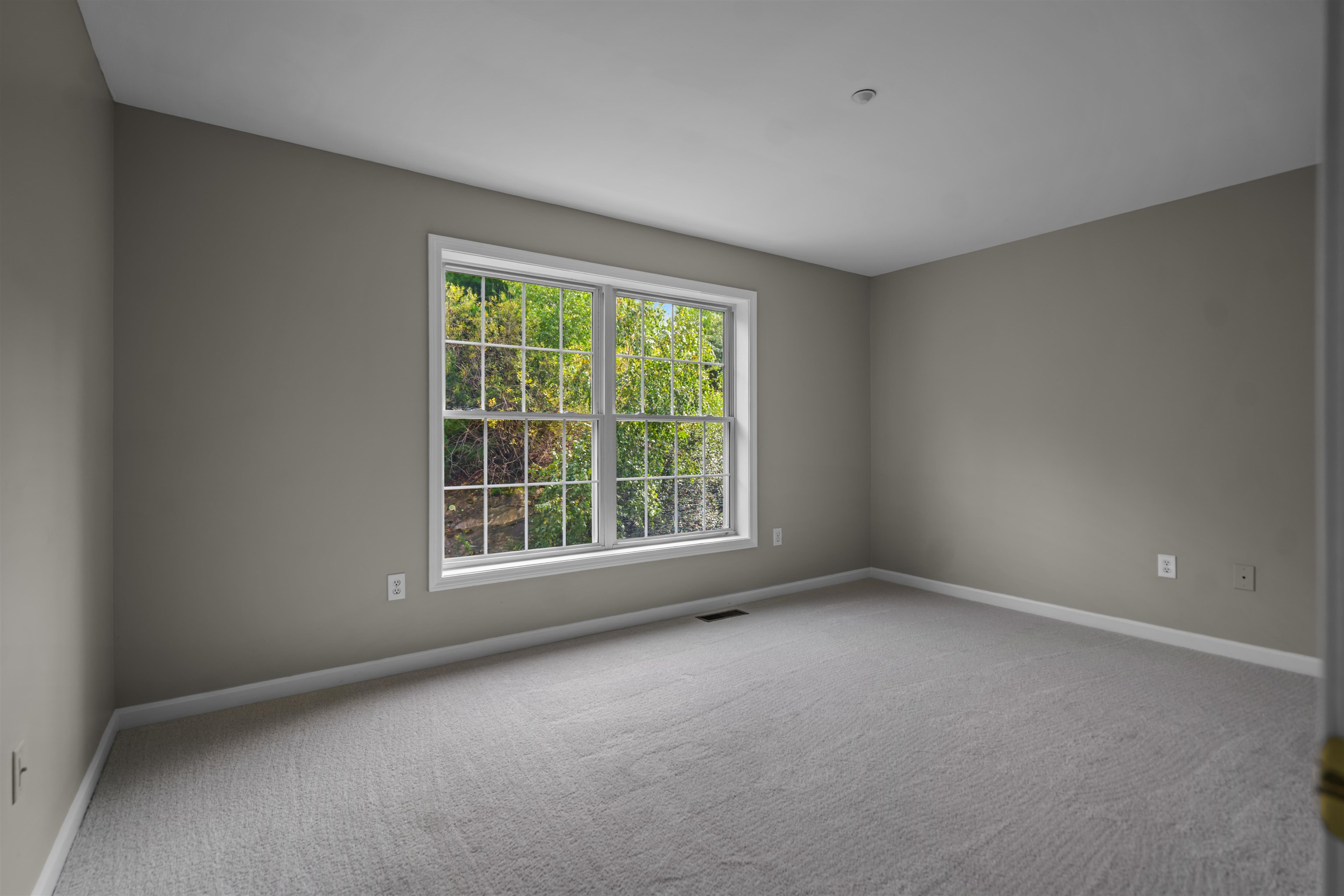 9 Tammy Court Property Photo 21