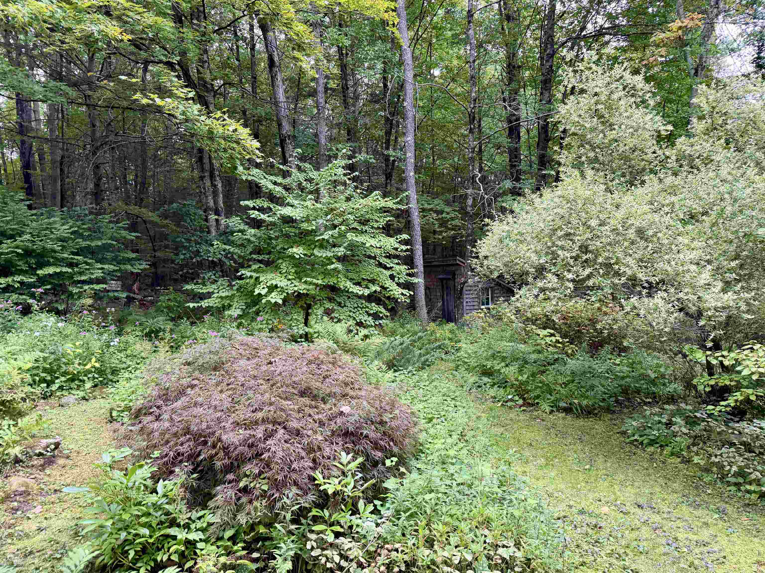 159 Joslin Road Property Photo 29