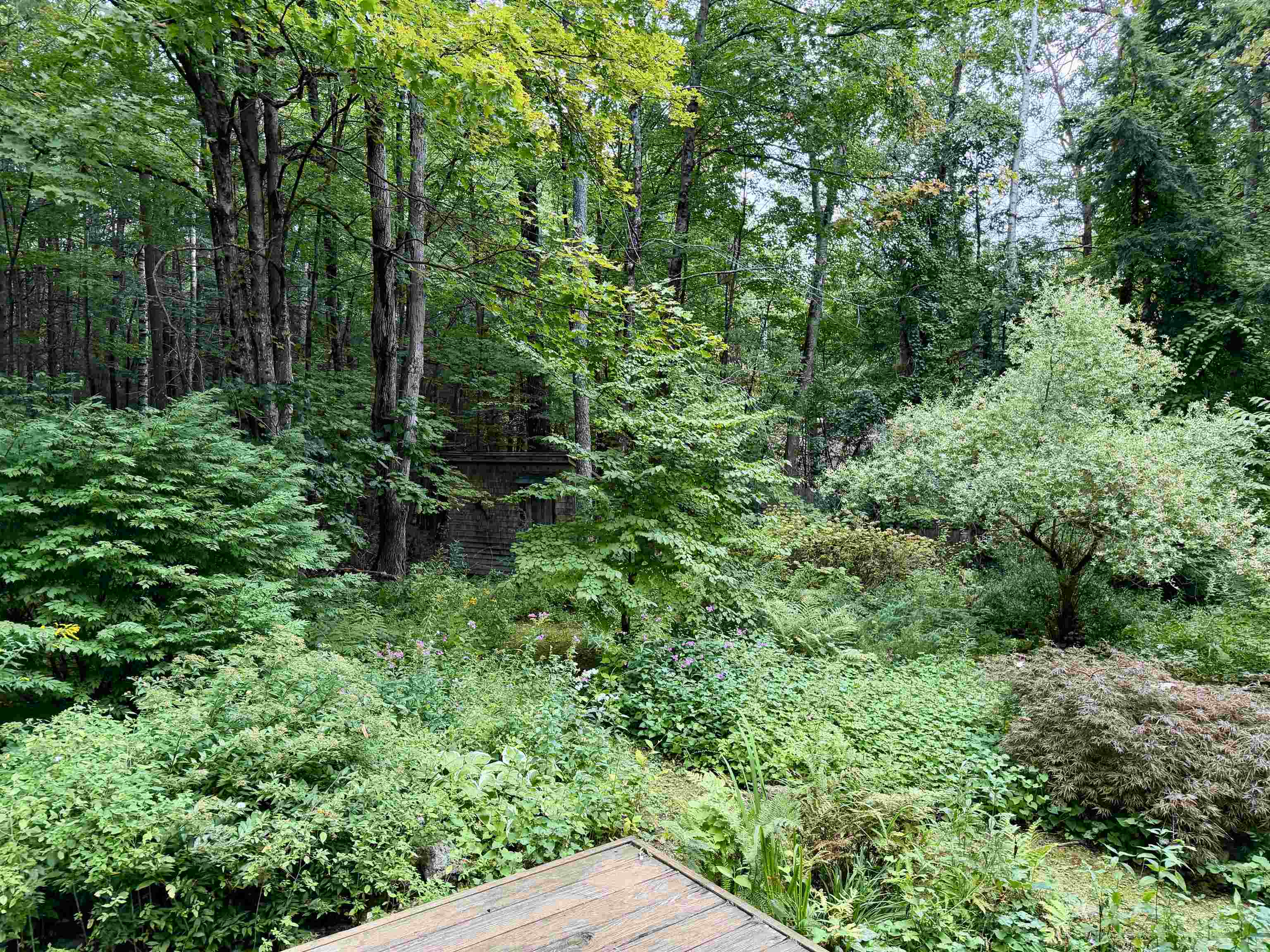 159 Joslin Road Property Photo 32
