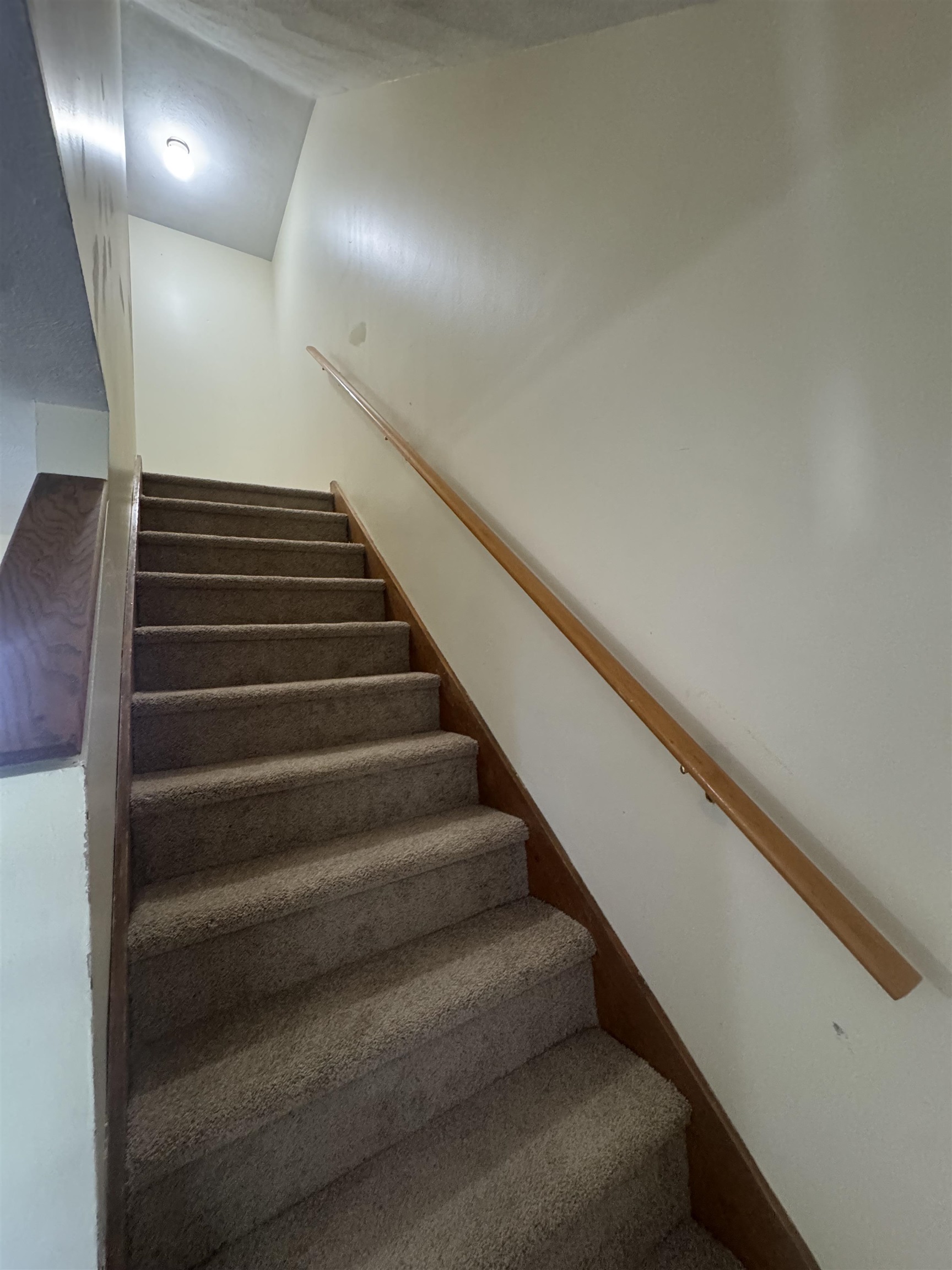 59 Stonegate Lane Property Photo 25