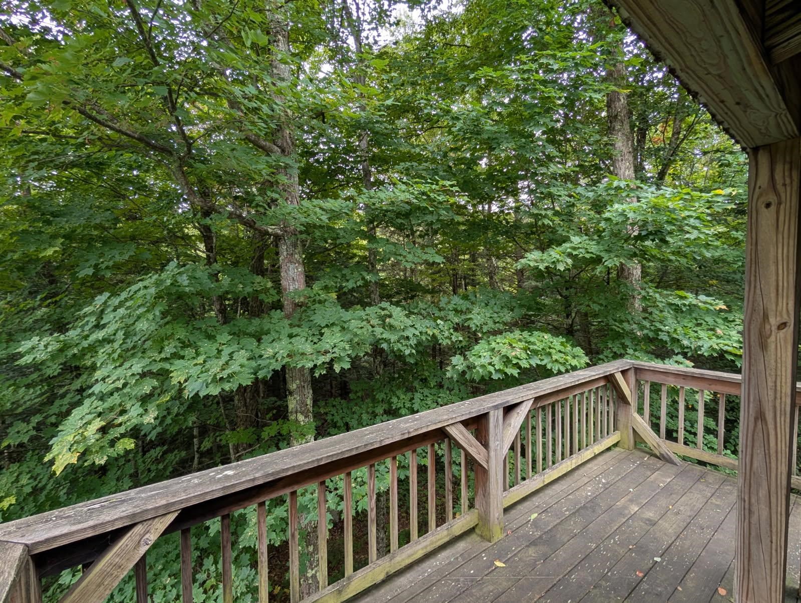 137 Old Jay Montgomery Road Property Photo 15