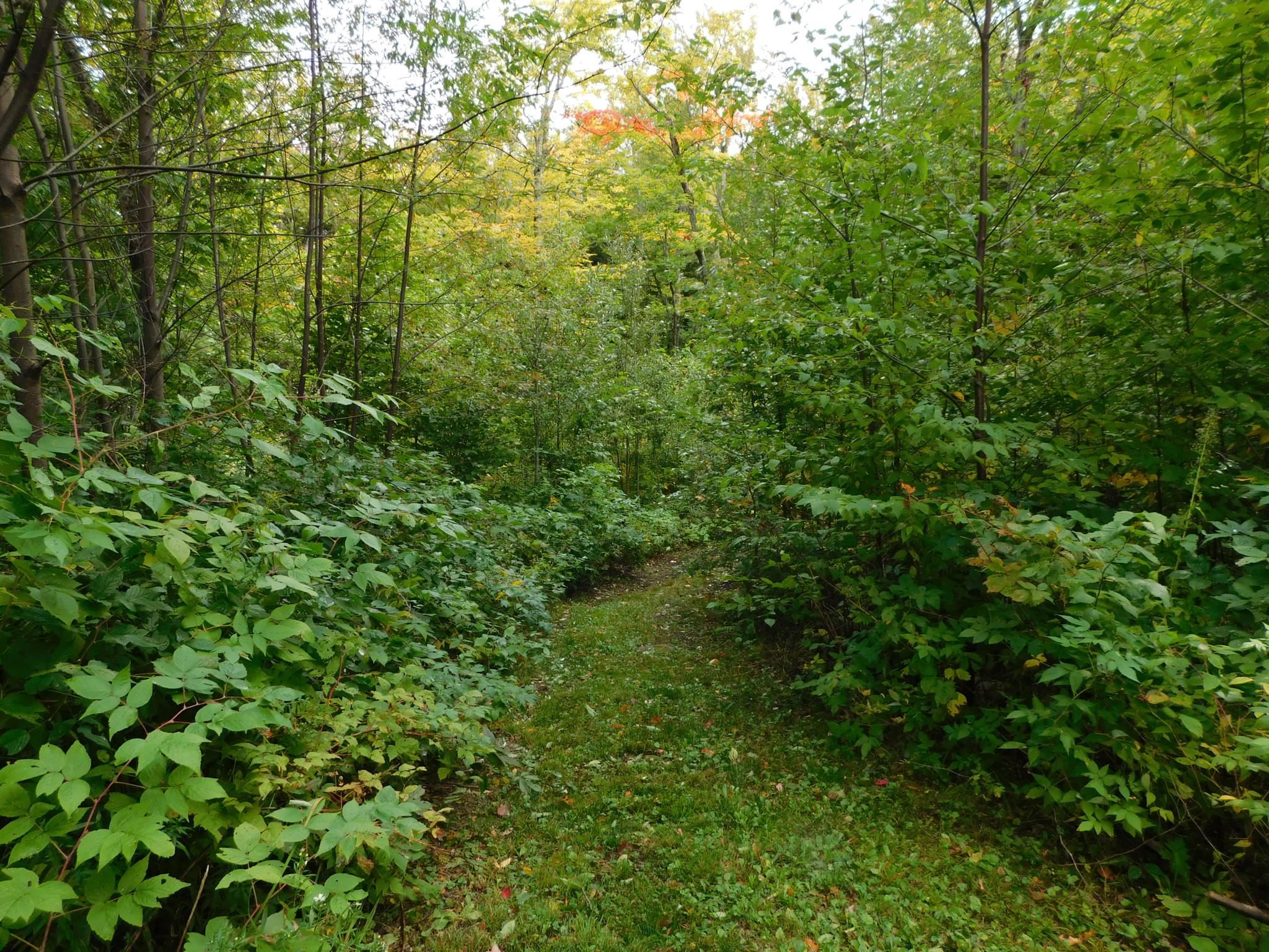 137 Old Jay Montgomery Road Property Photo 18