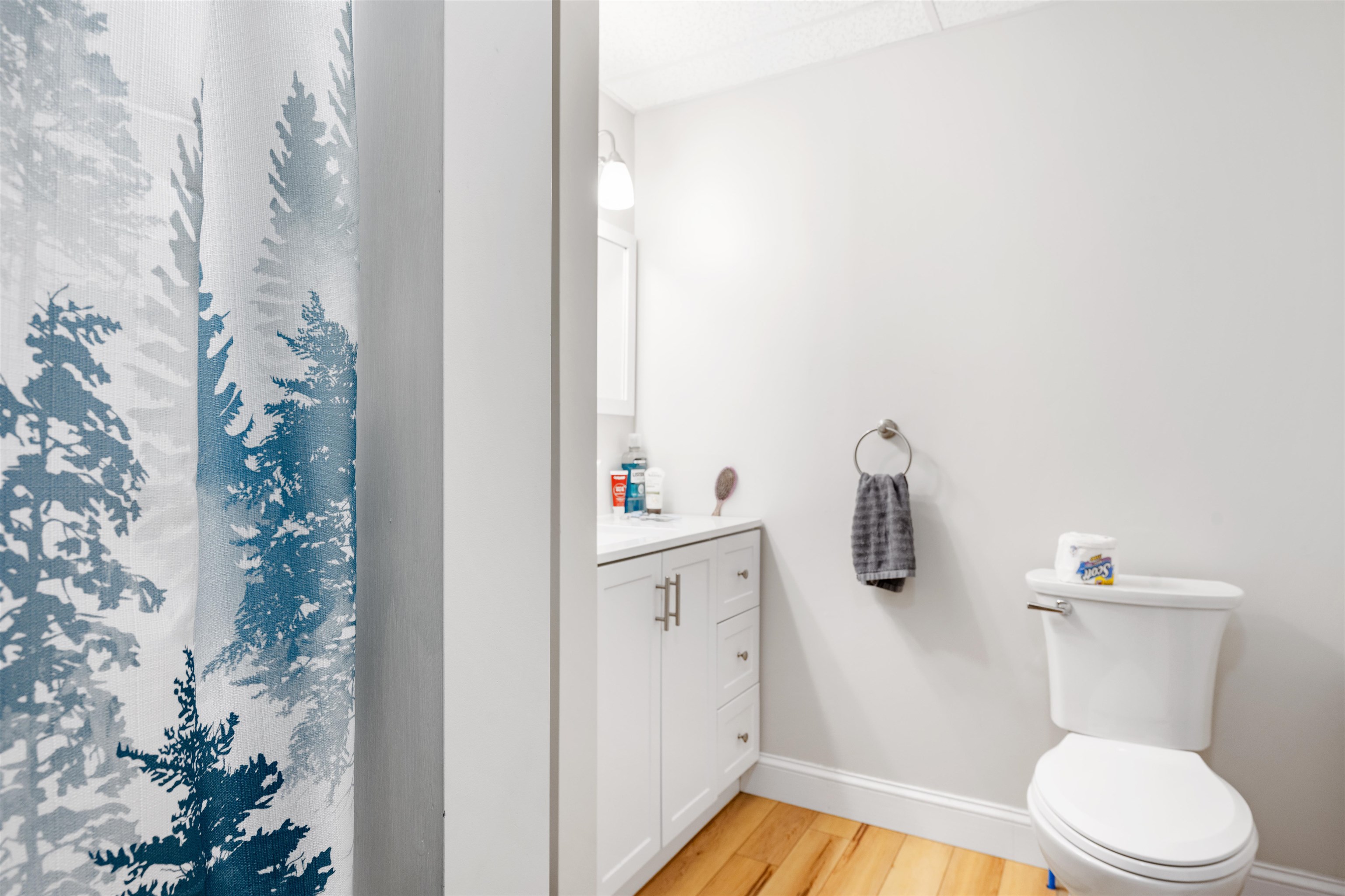 30 Elm Street Property Photo 11