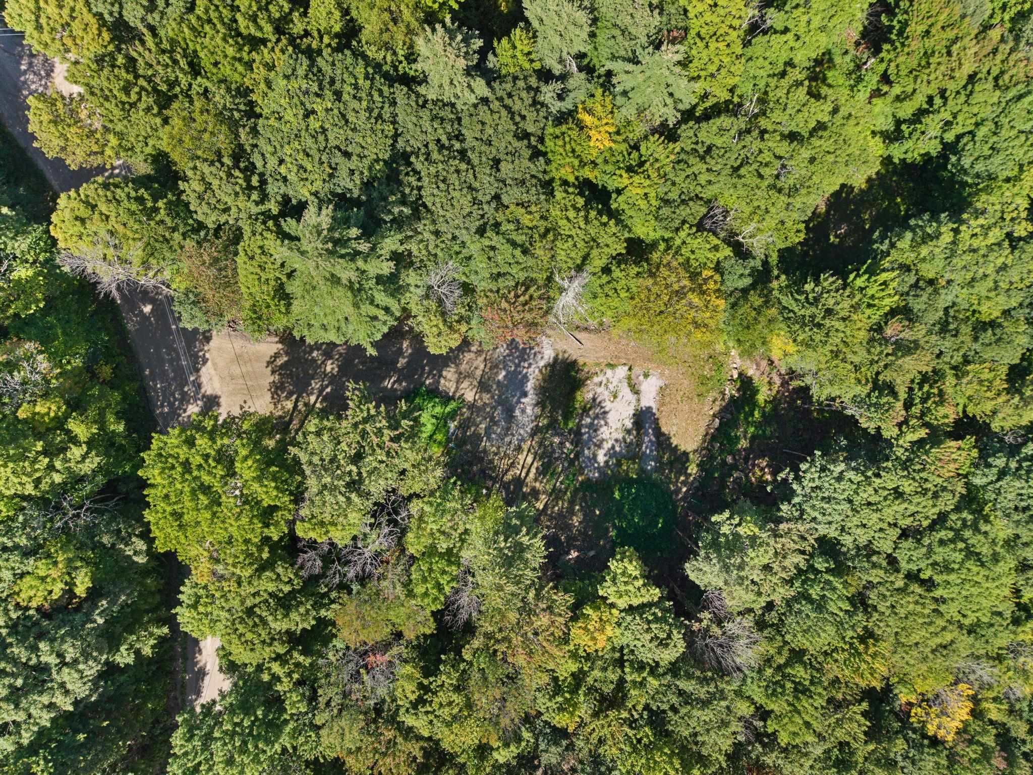 110 41 Kings Highway Property Photo 11
