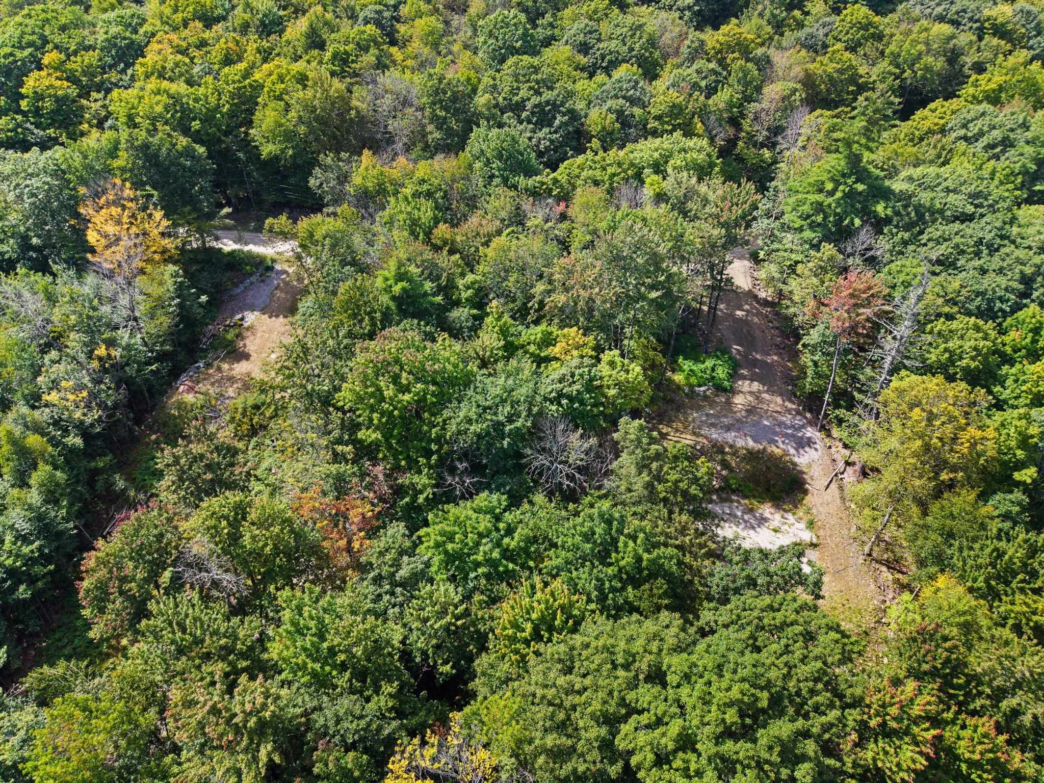 110 42 Kings Highway Property Photo 3
