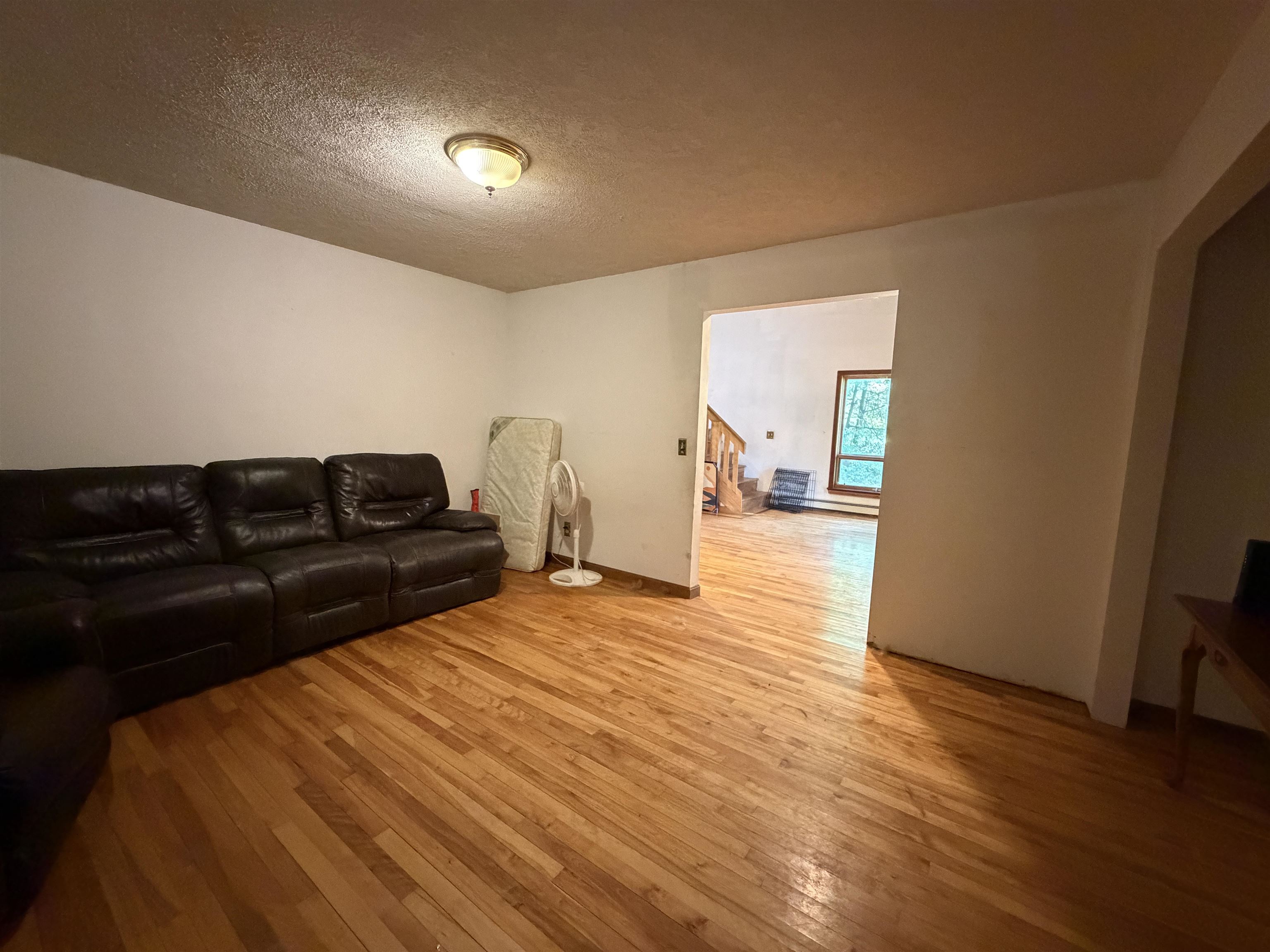 15 Bellows Street Property Photo 10