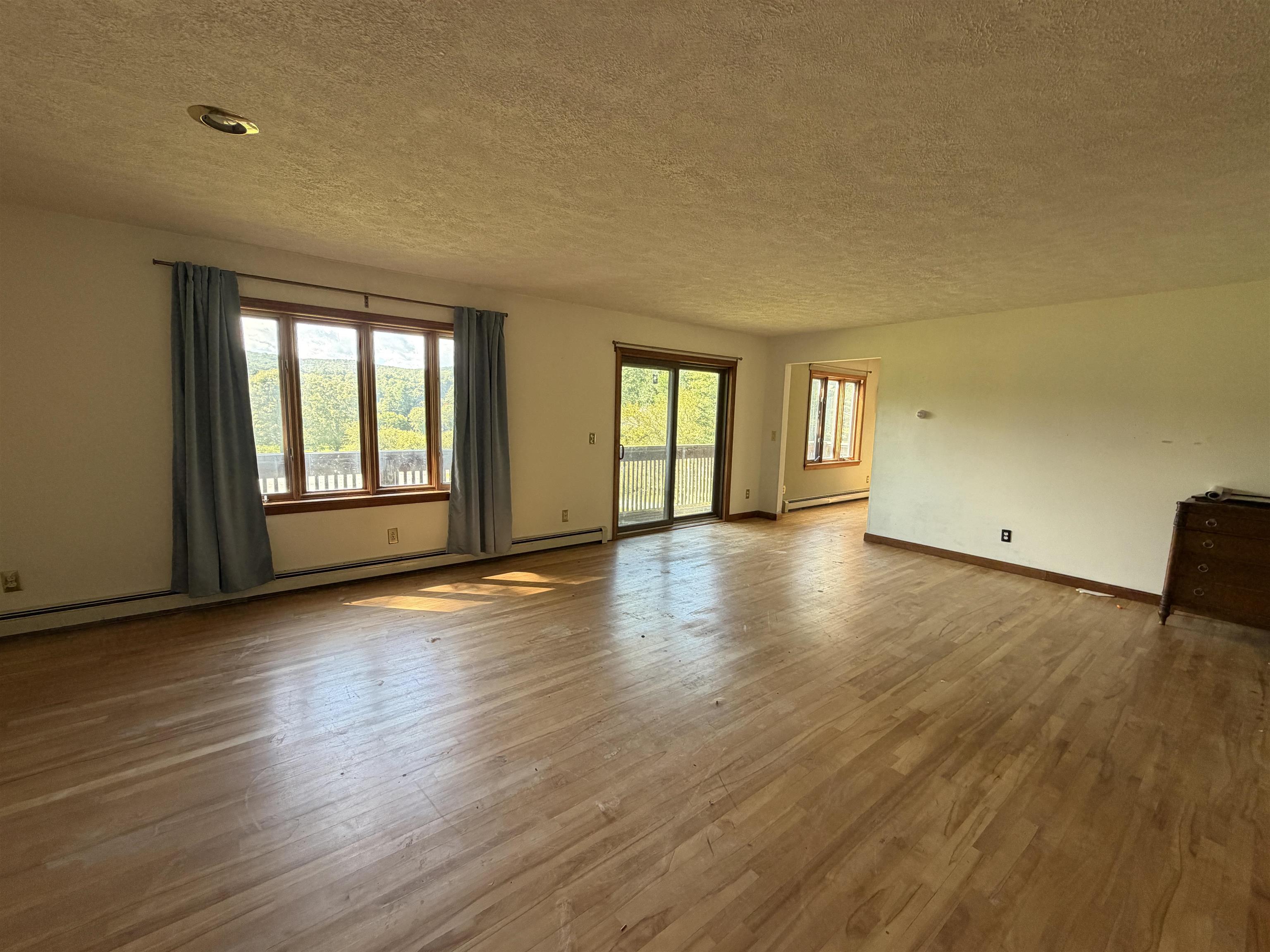15 Bellows Street Property Photo 17