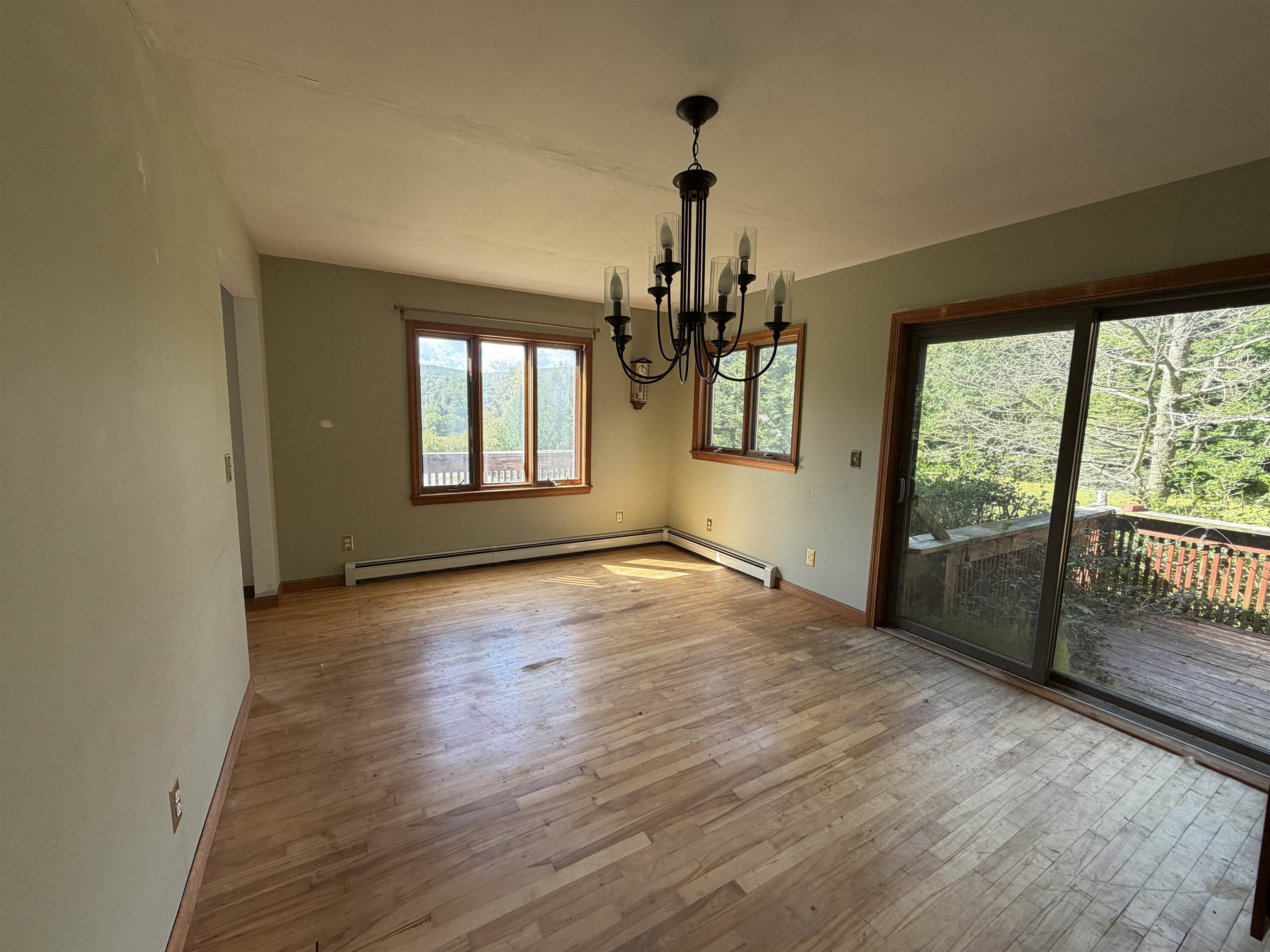 15 Bellows Street Property Photo 19