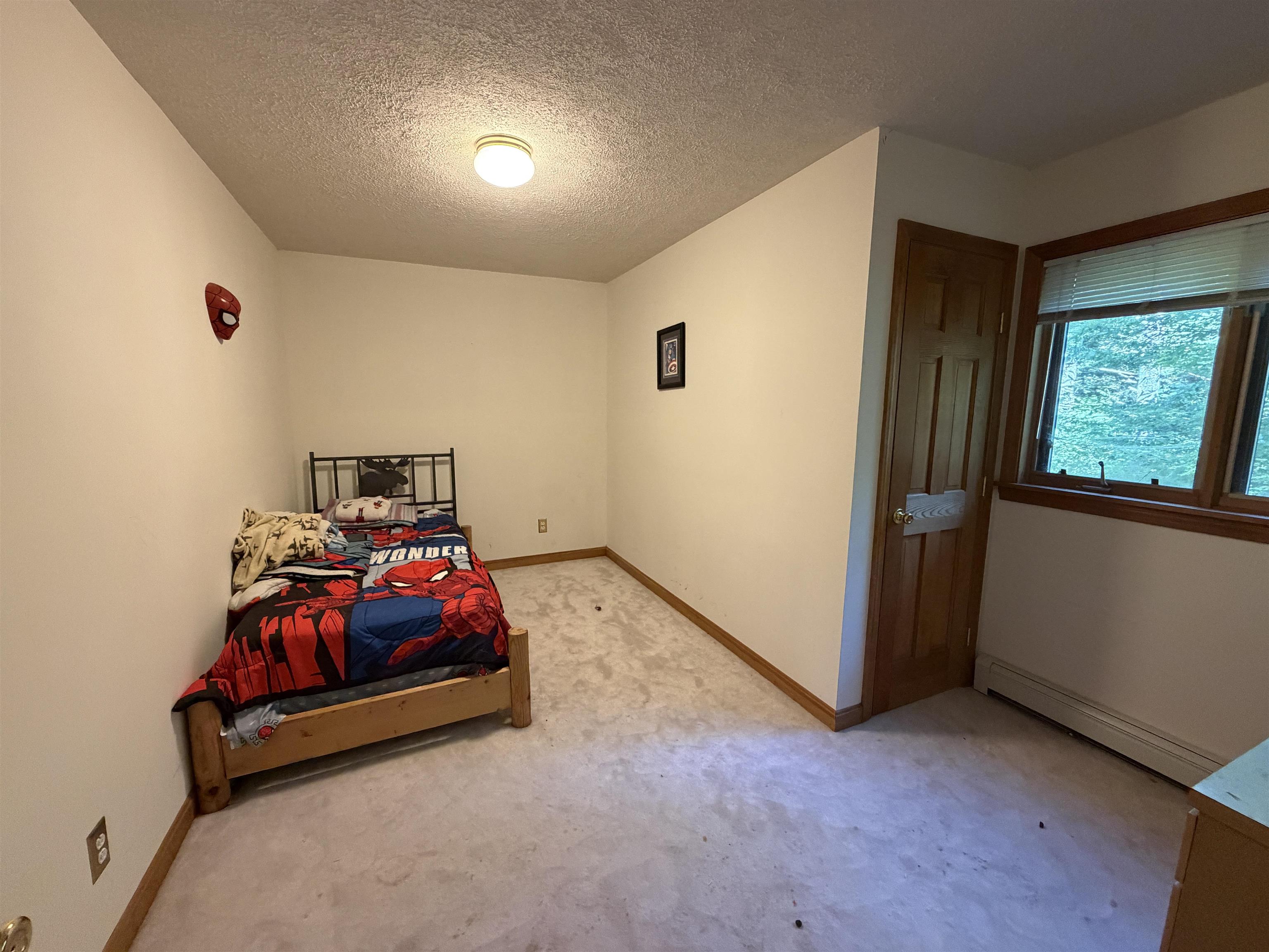 15 Bellows Street Property Photo 27