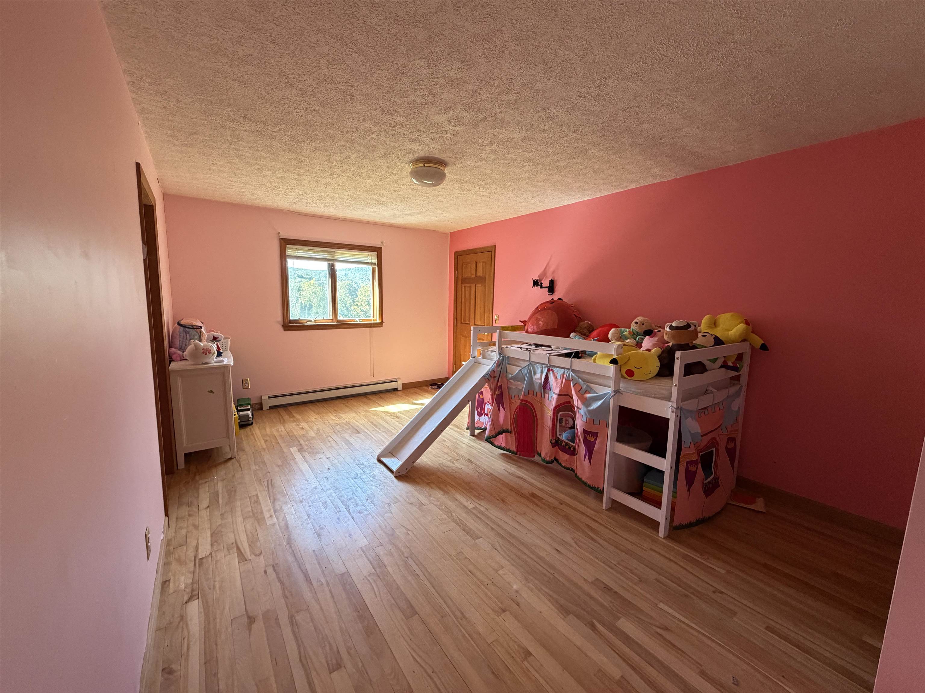 15 Bellows Street Property Photo 41