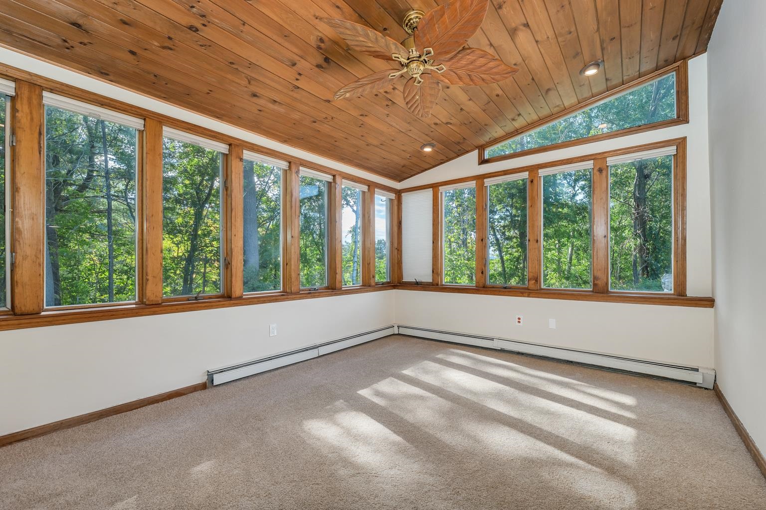 7 Virginia Court Property Photo 52