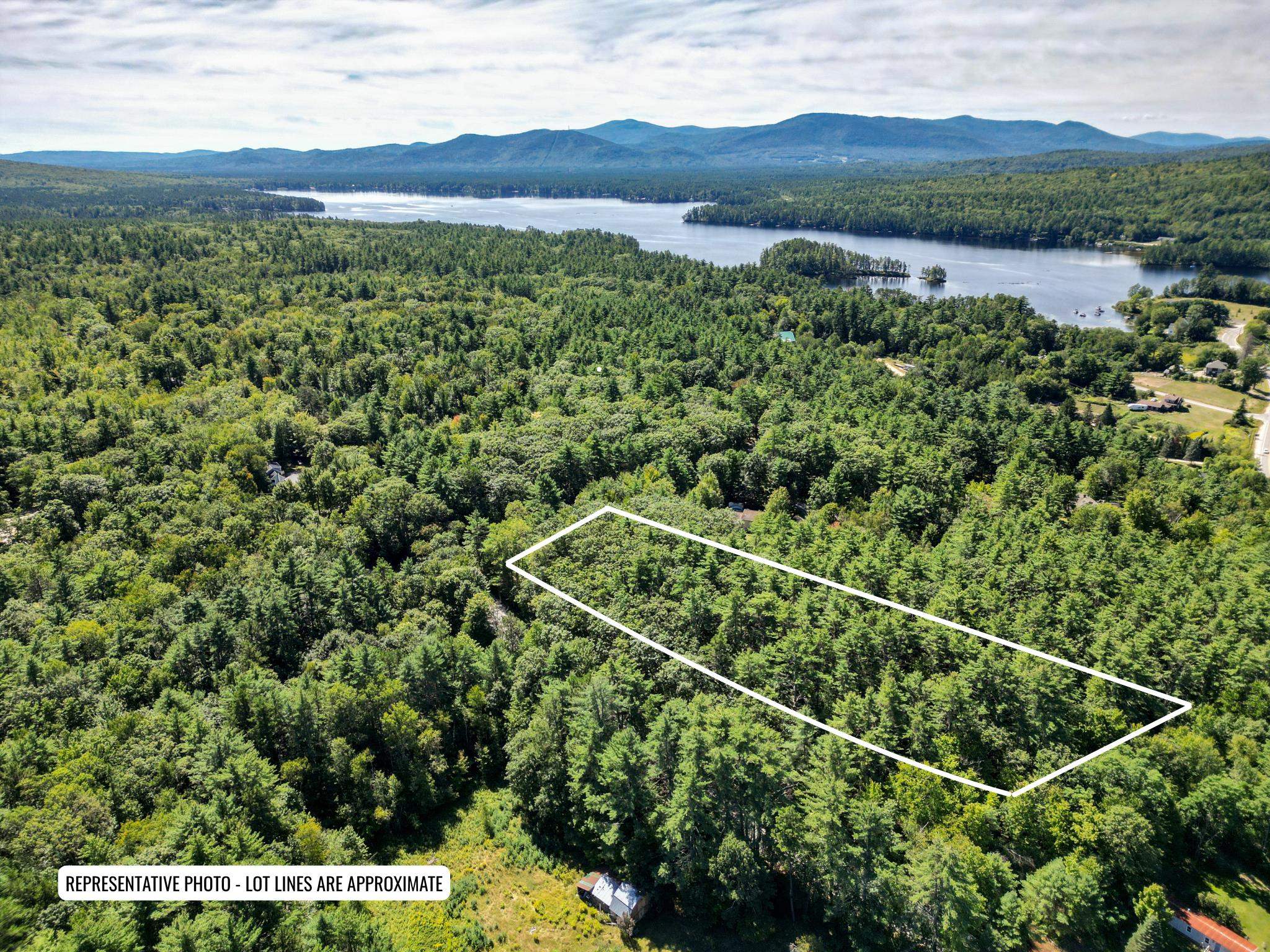 Map 117 Lot 25 Danforth Lane Property Photo 1