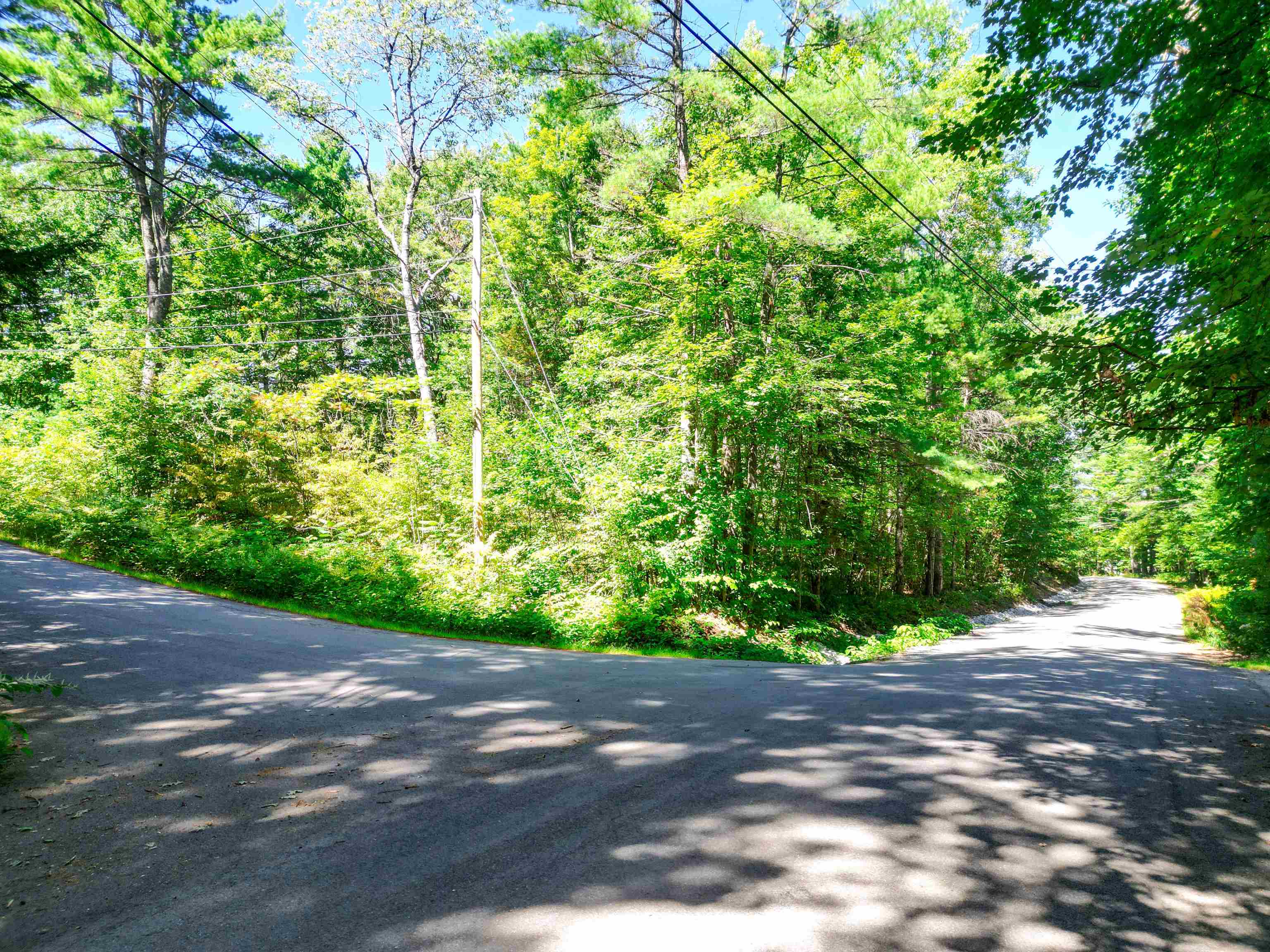 Map 117 Lot 25 Danforth Lane Property Photo 2