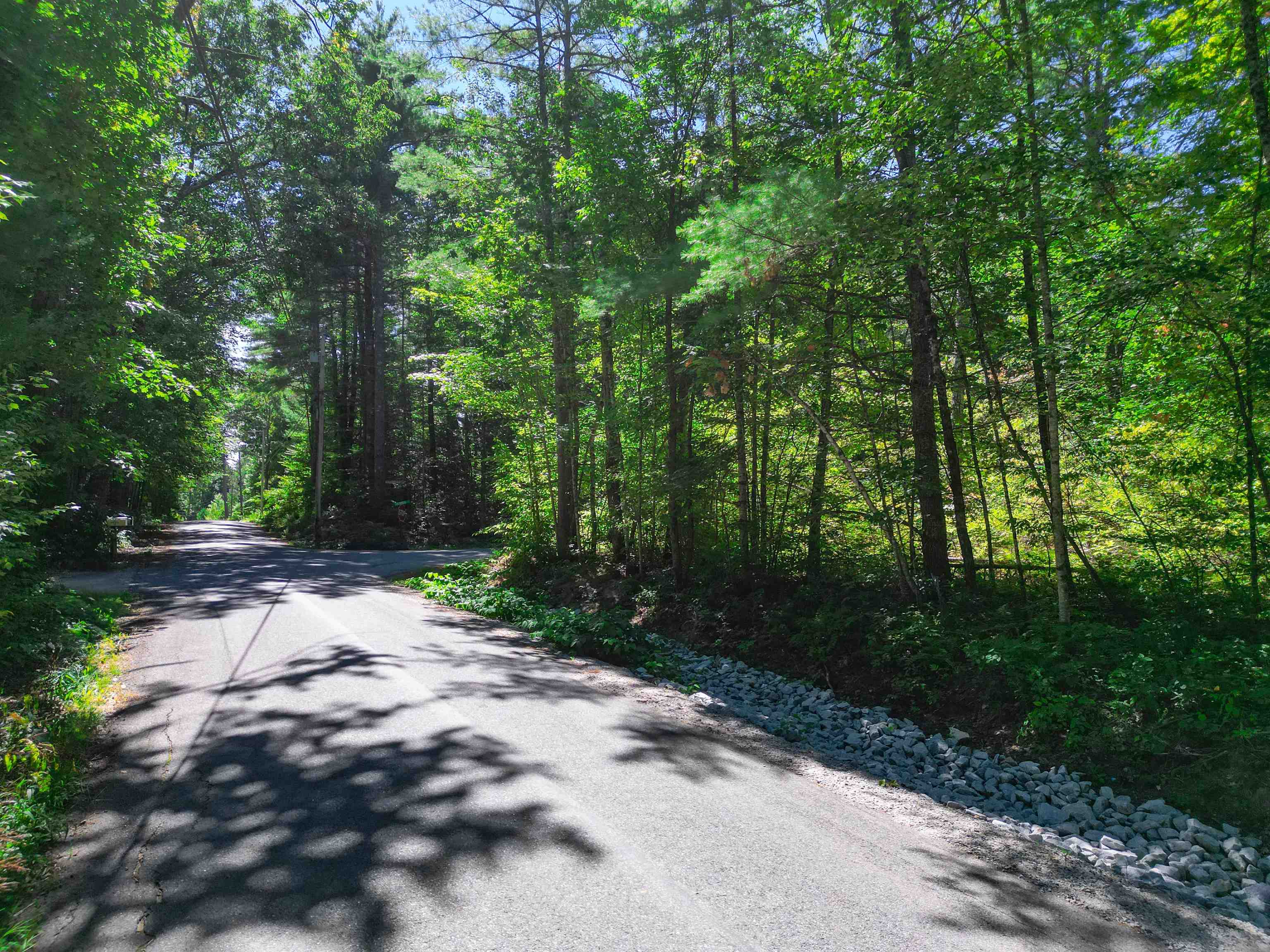 Map 117 Lot 25 Danforth Lane Property Photo 3