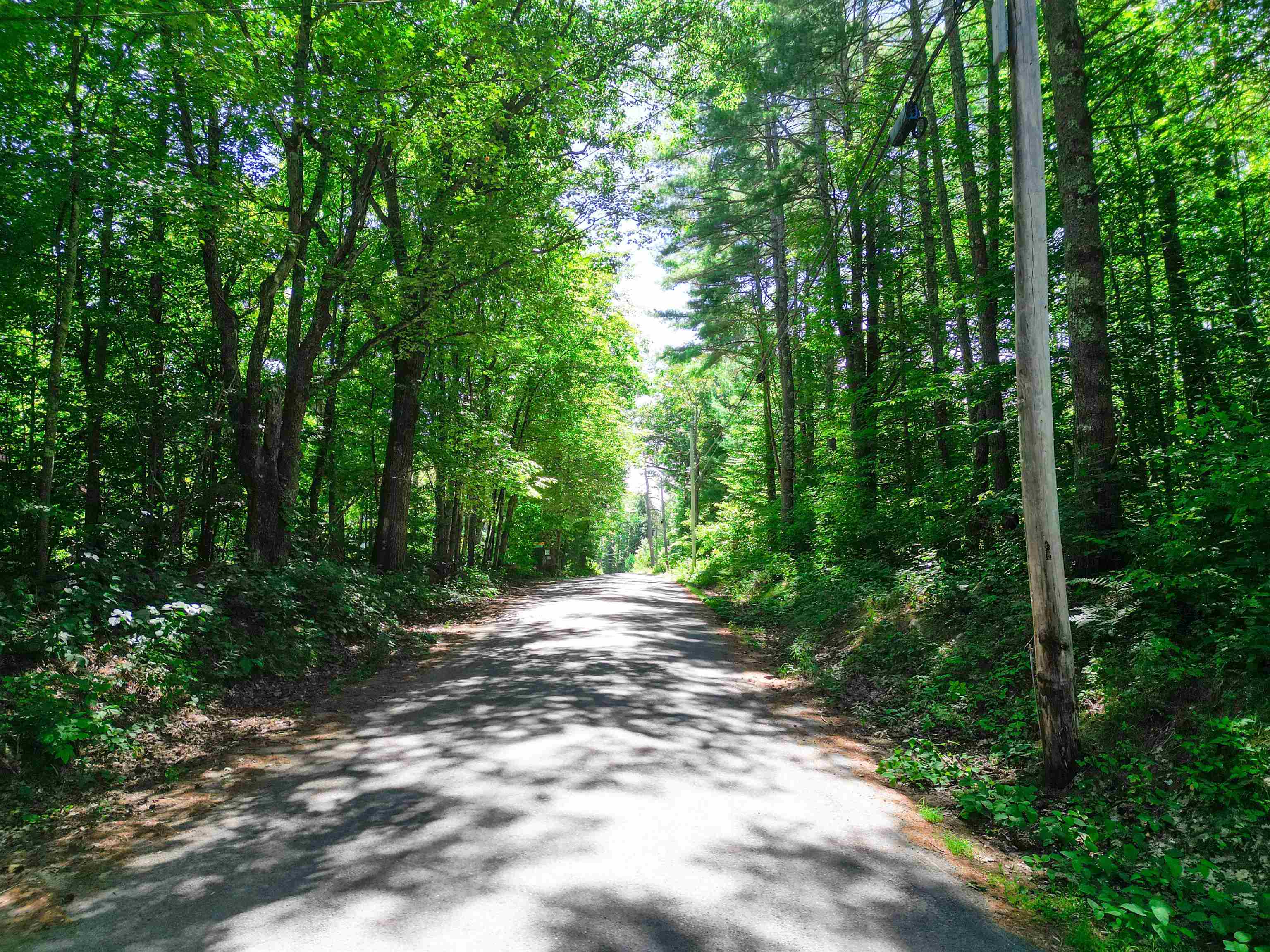 Map 117 Lot 25 Danforth Lane Property Photo 4