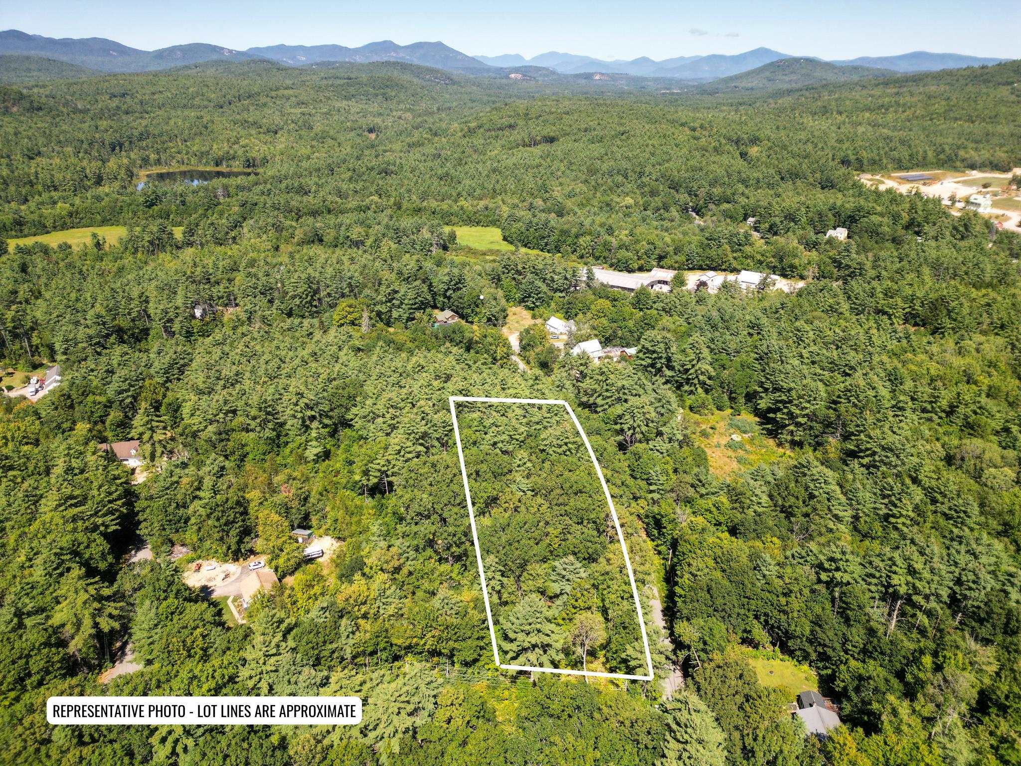 Map 117 Lot 25 Danforth Lane Property Photo 5