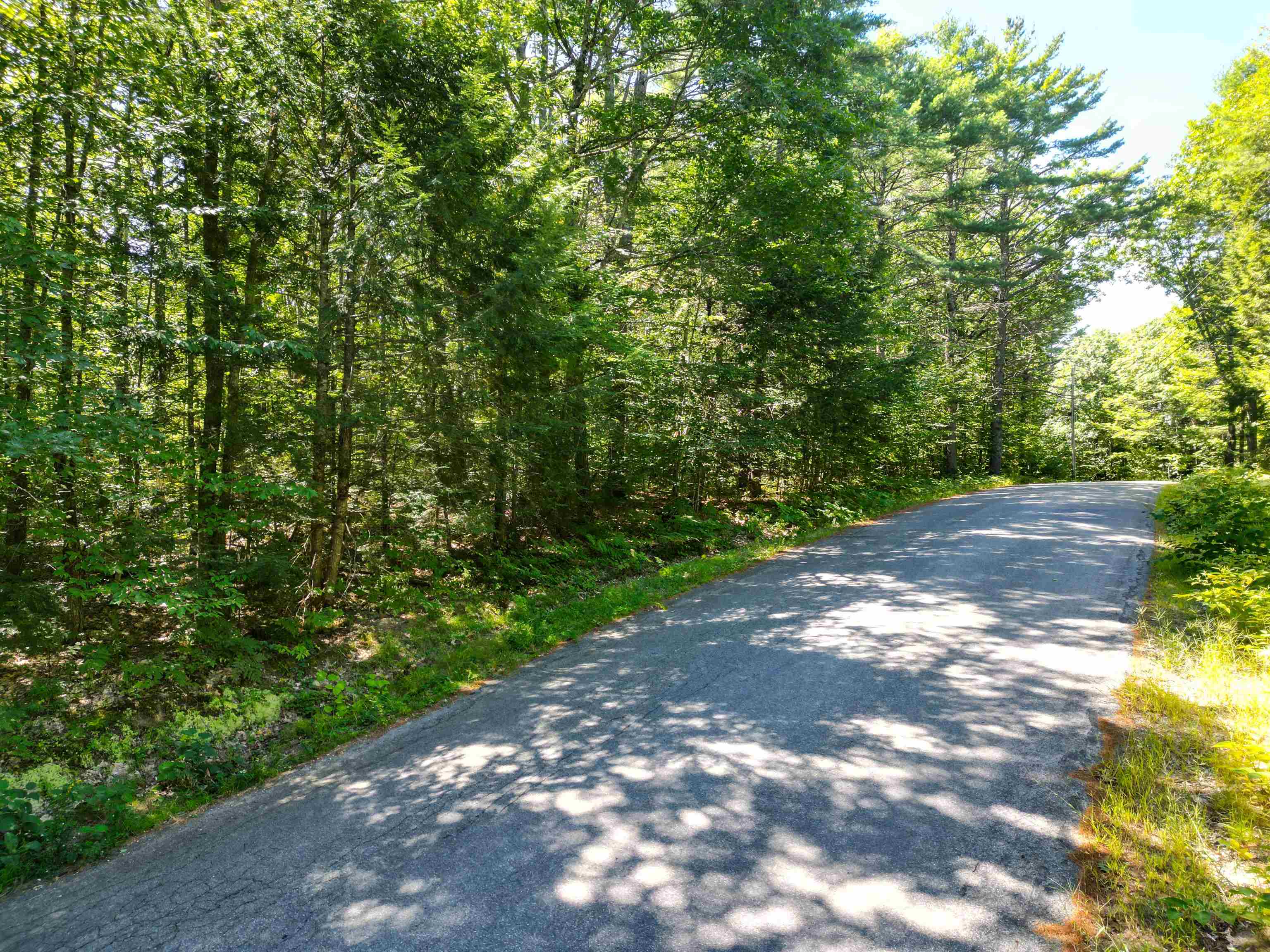 Map 117 Lot 25 Danforth Lane Property Photo 7