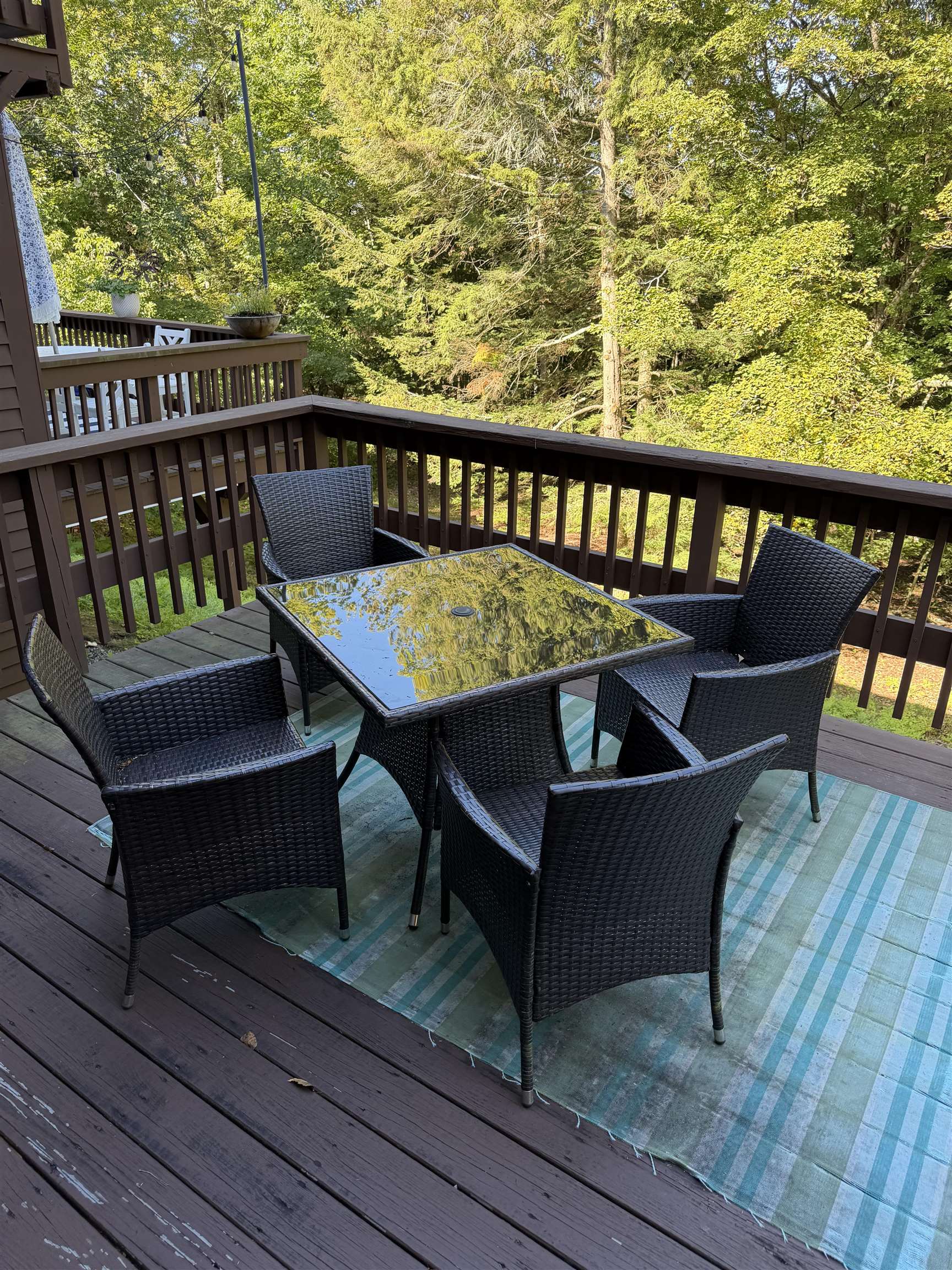 355 Lyman Batcheller Road Property Photo 12