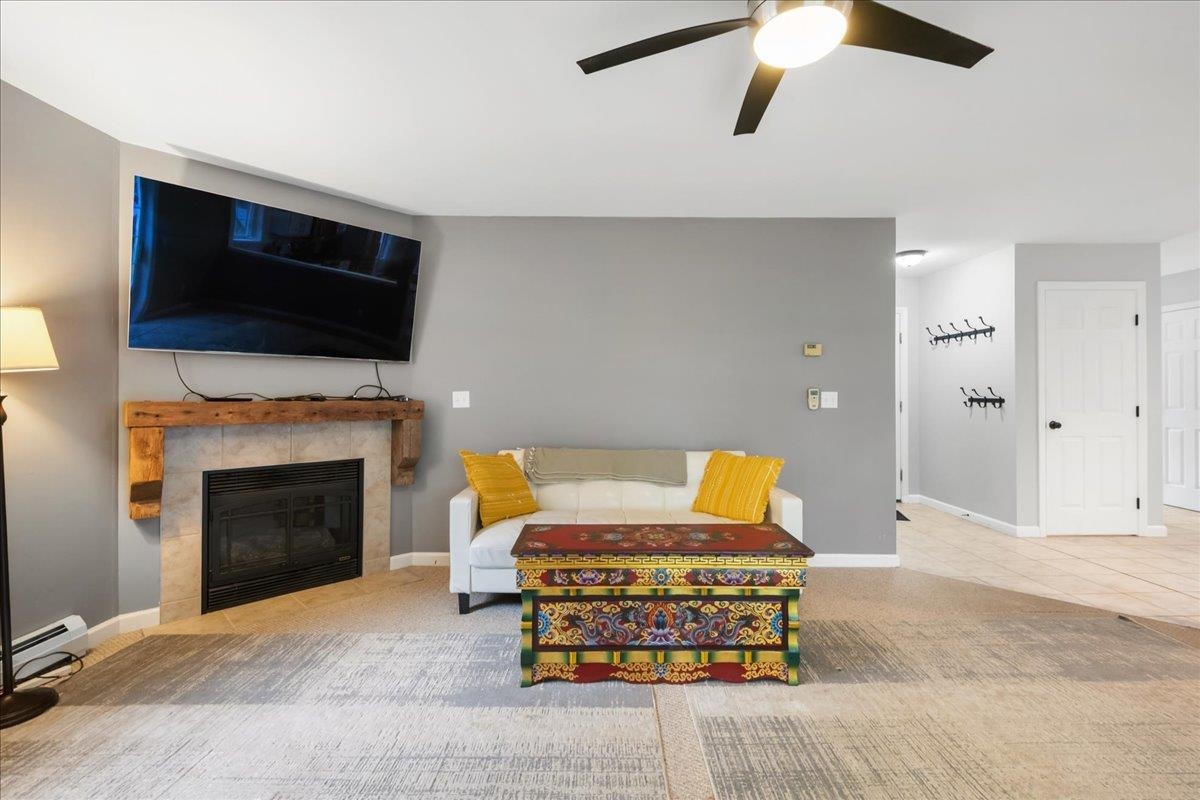17 Bower Street Property Photo 13