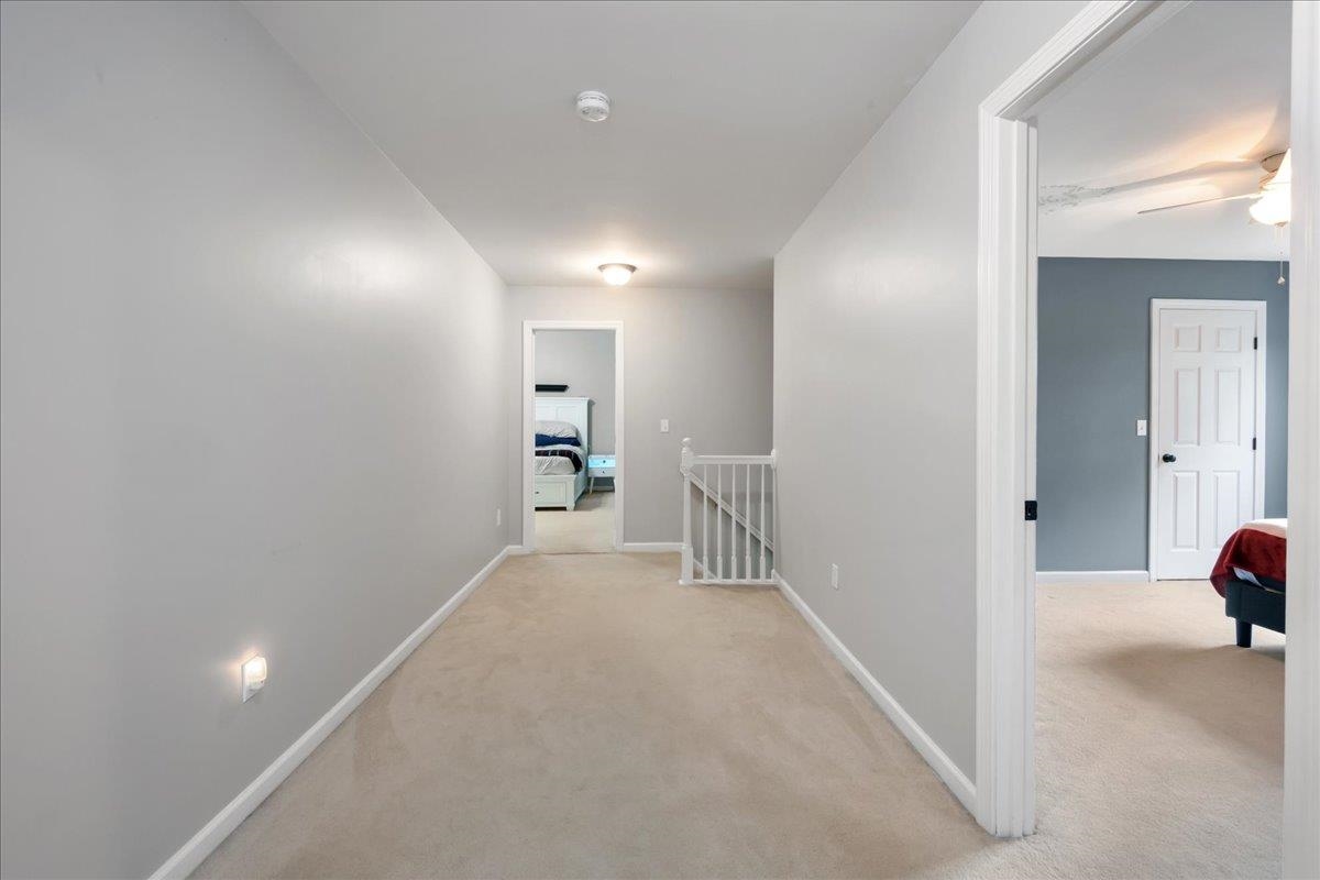 17 Bower Street Property Photo 24