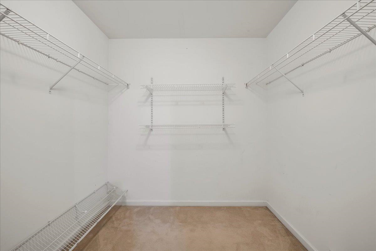 17 Bower Street Property Photo 29