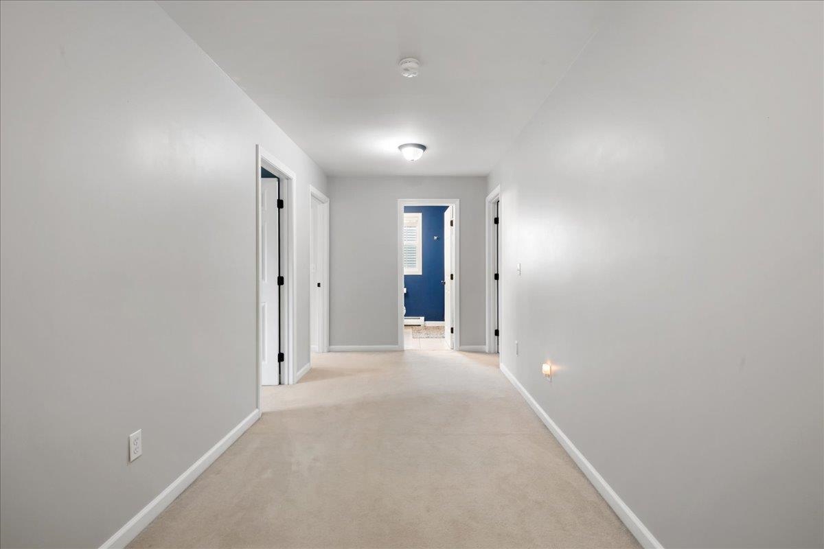 17 Bower Street Property Photo 32